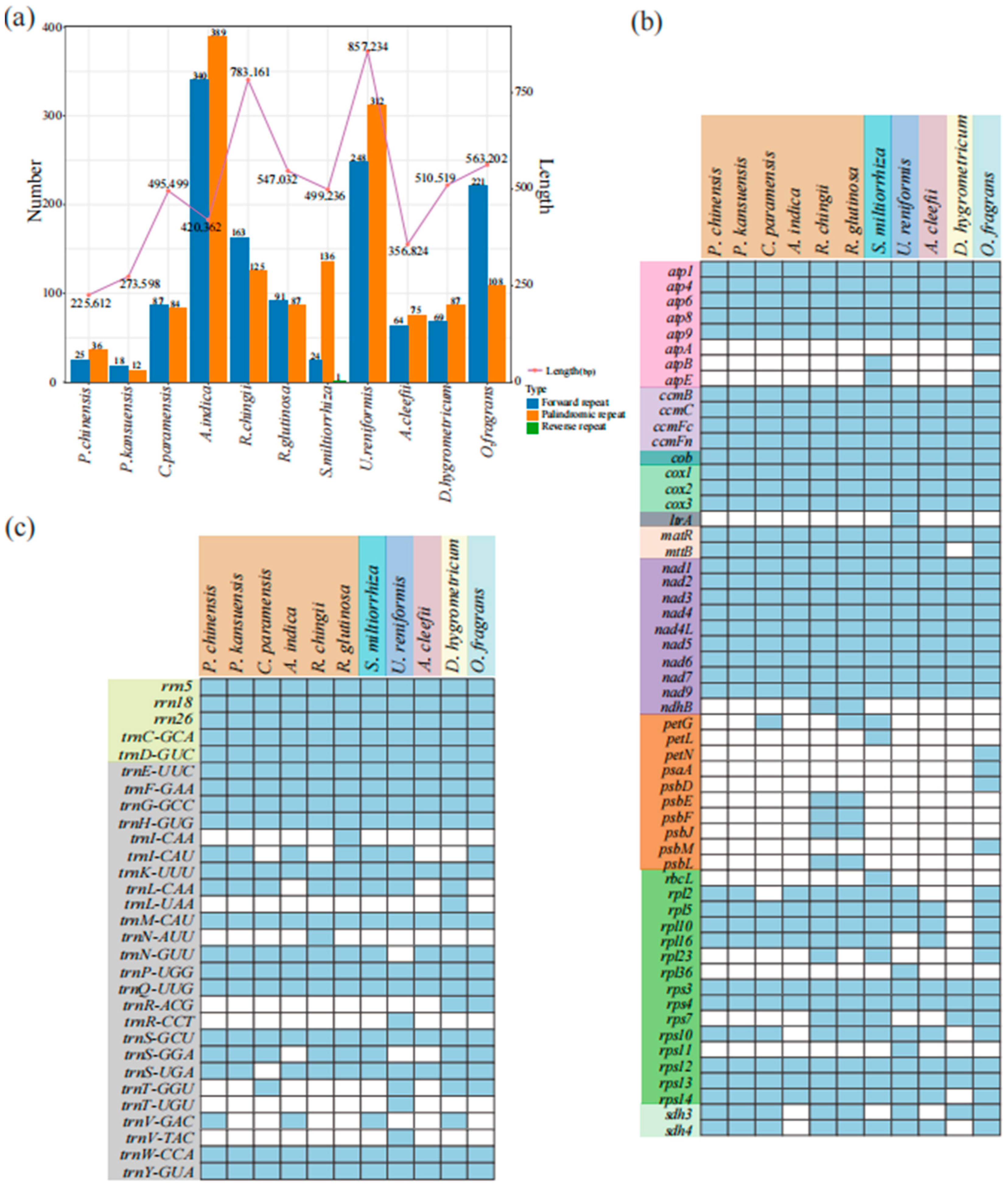 Genes 15 00098 g007 Genes 15 00098 g007