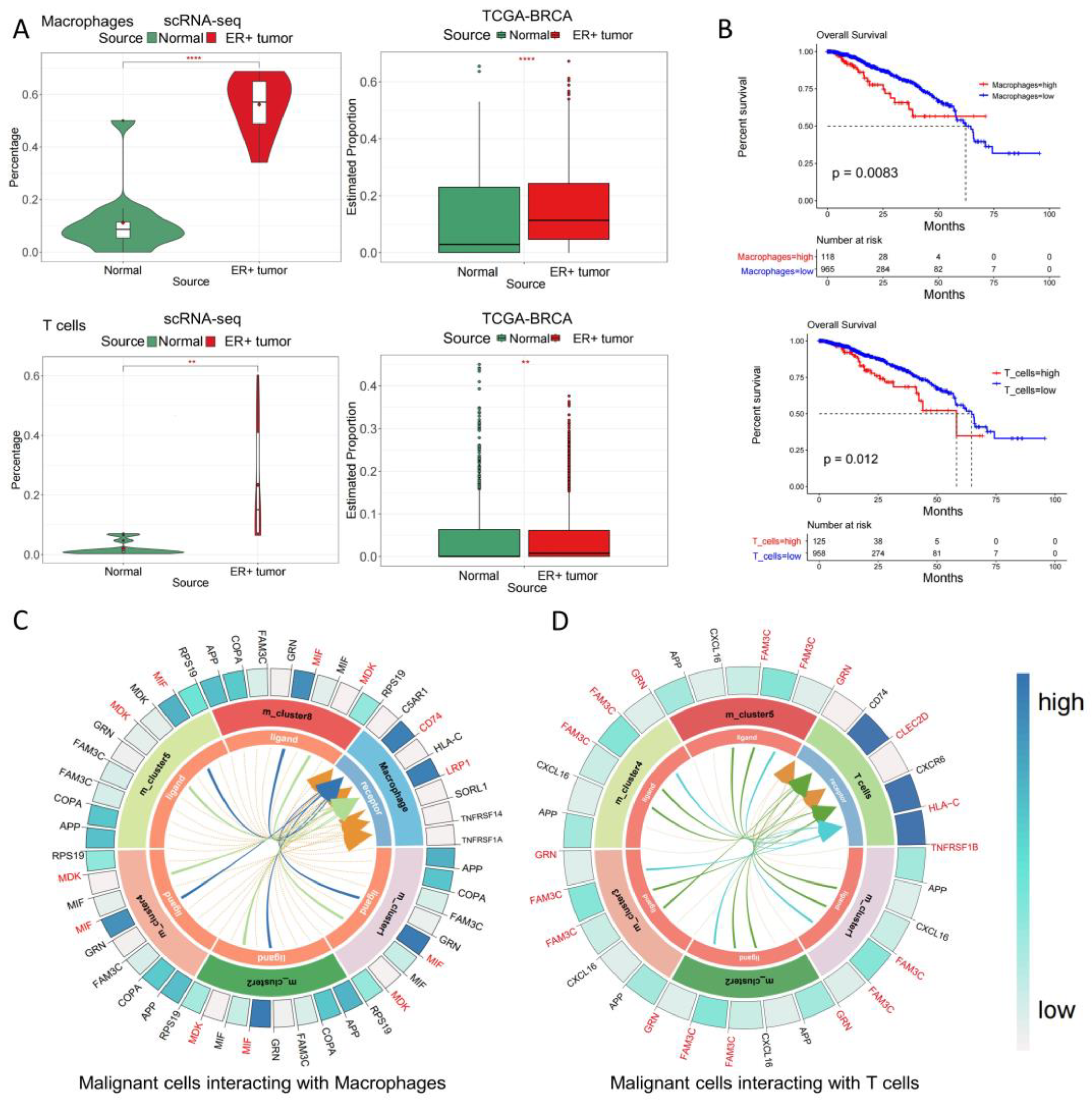 Genes 15 00100 g003
