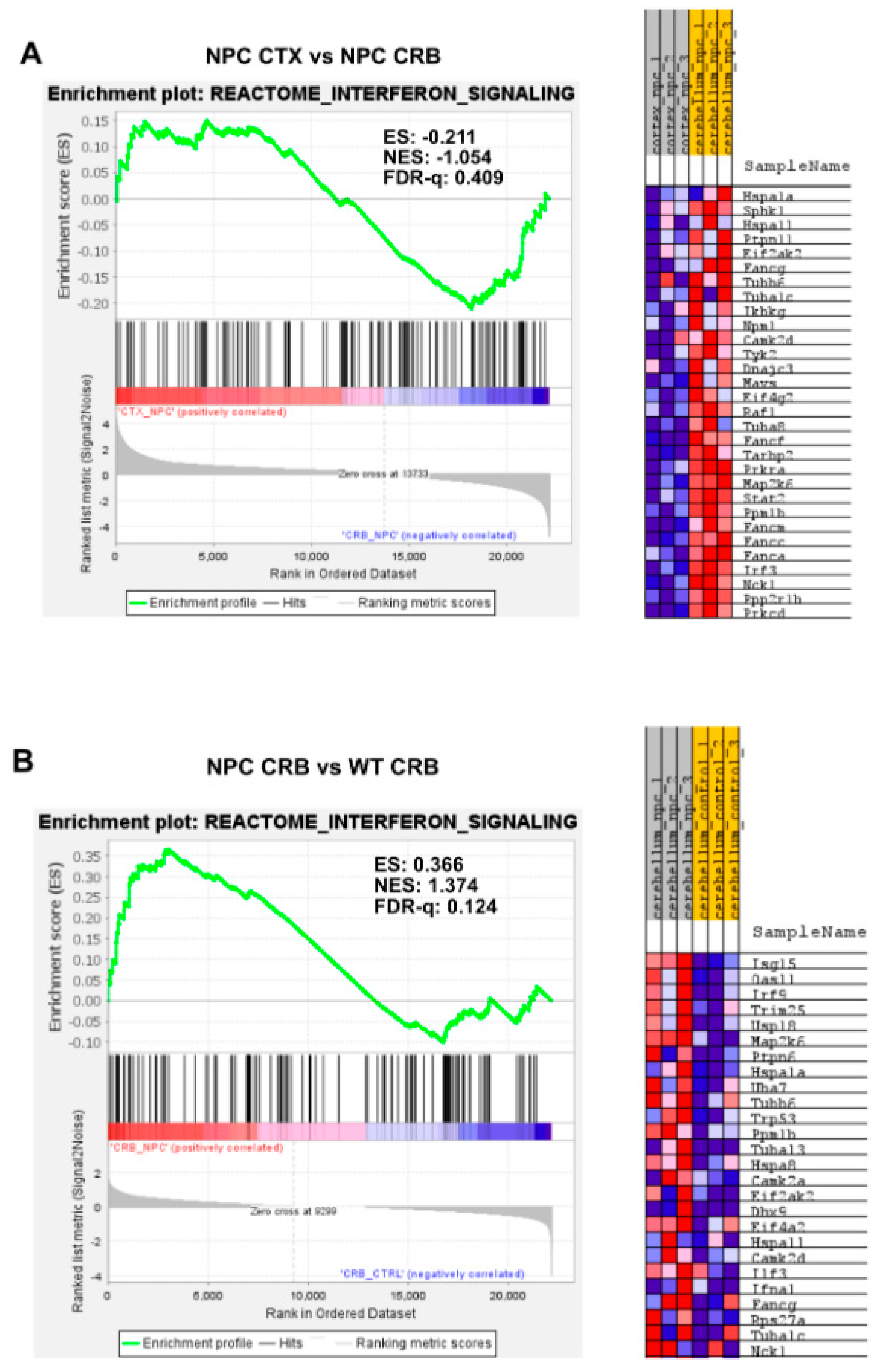 Genes 15 00101 g0a1a