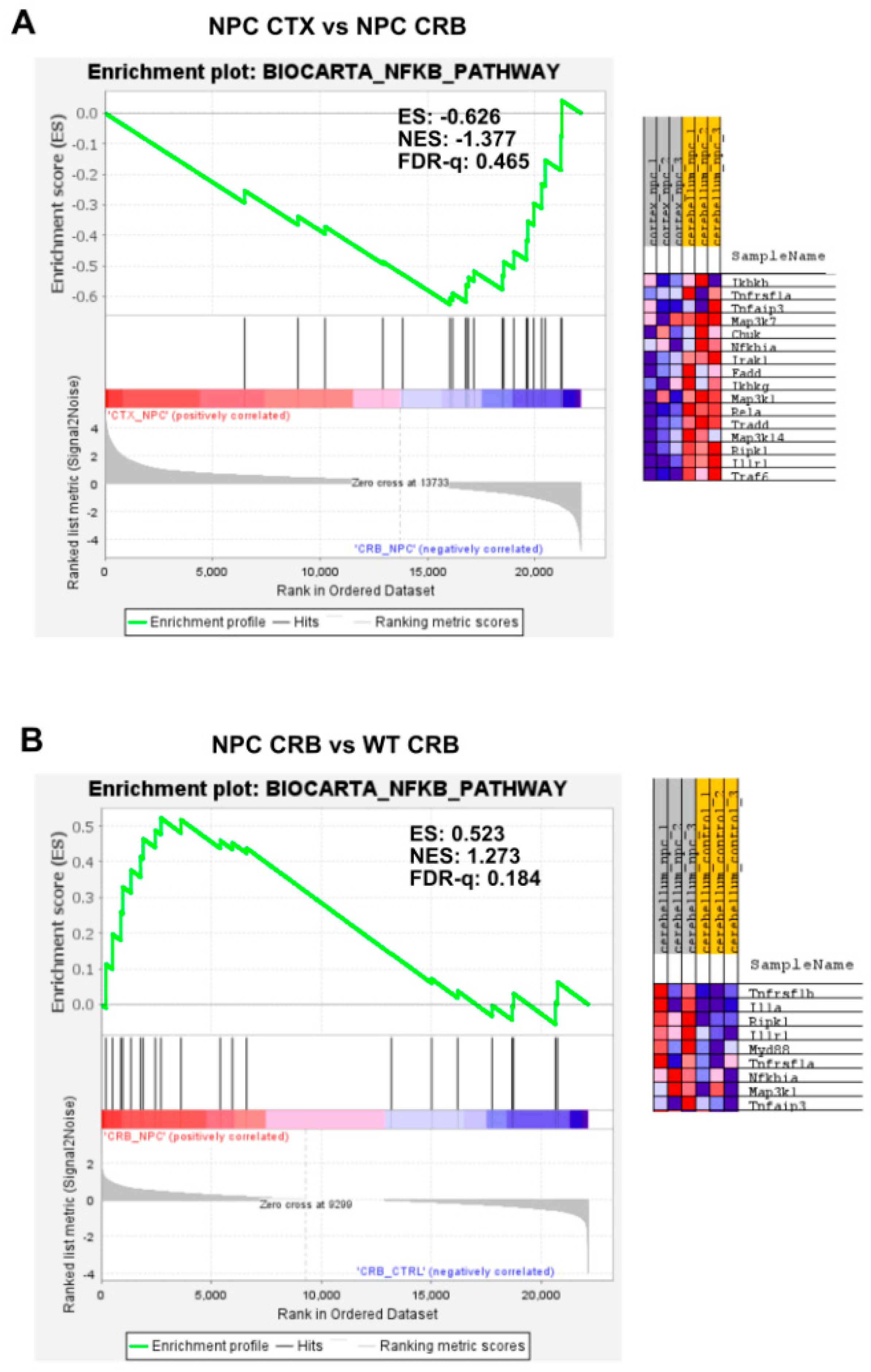 Genes 15 00101 g0a3a