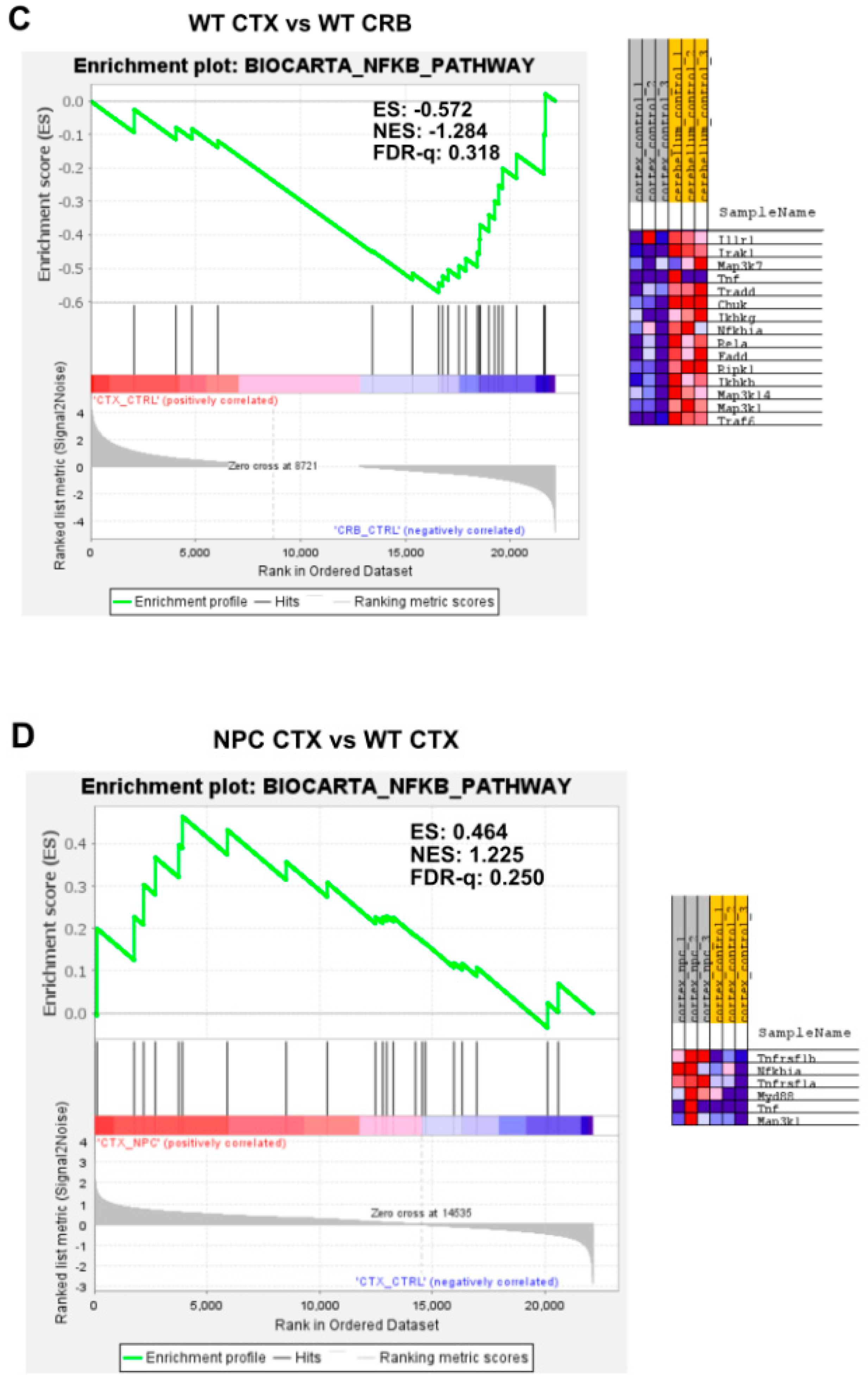 Genes 15 00101 g0a3b