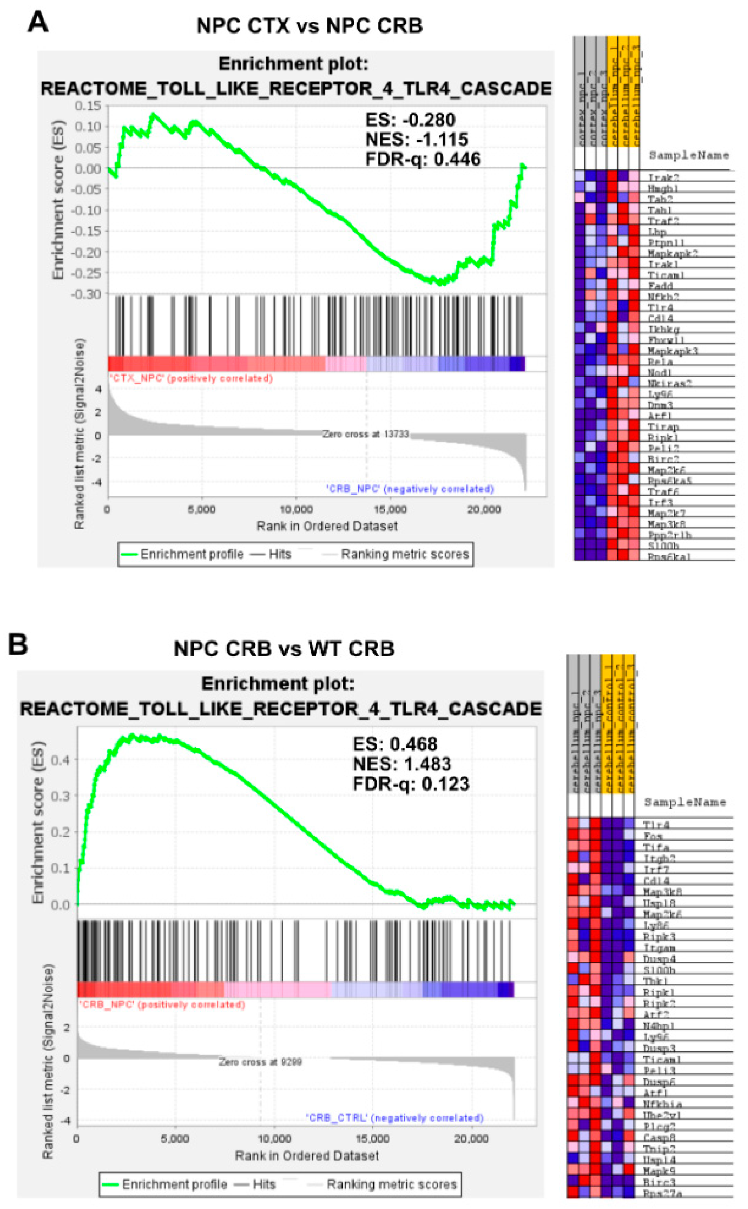 Genes 15 00101 g0a4a