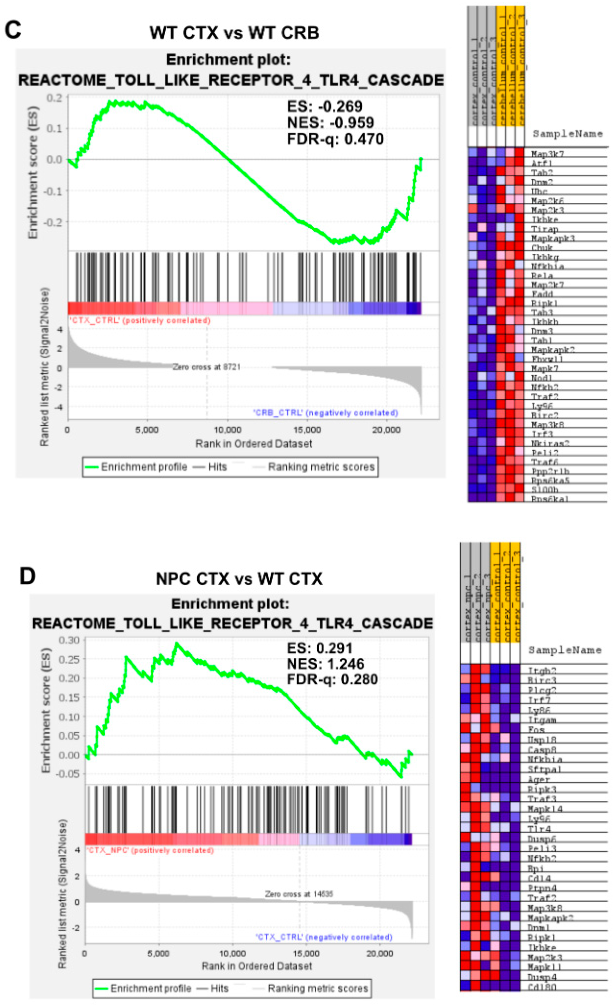 Genes 15 00101 g0a4b