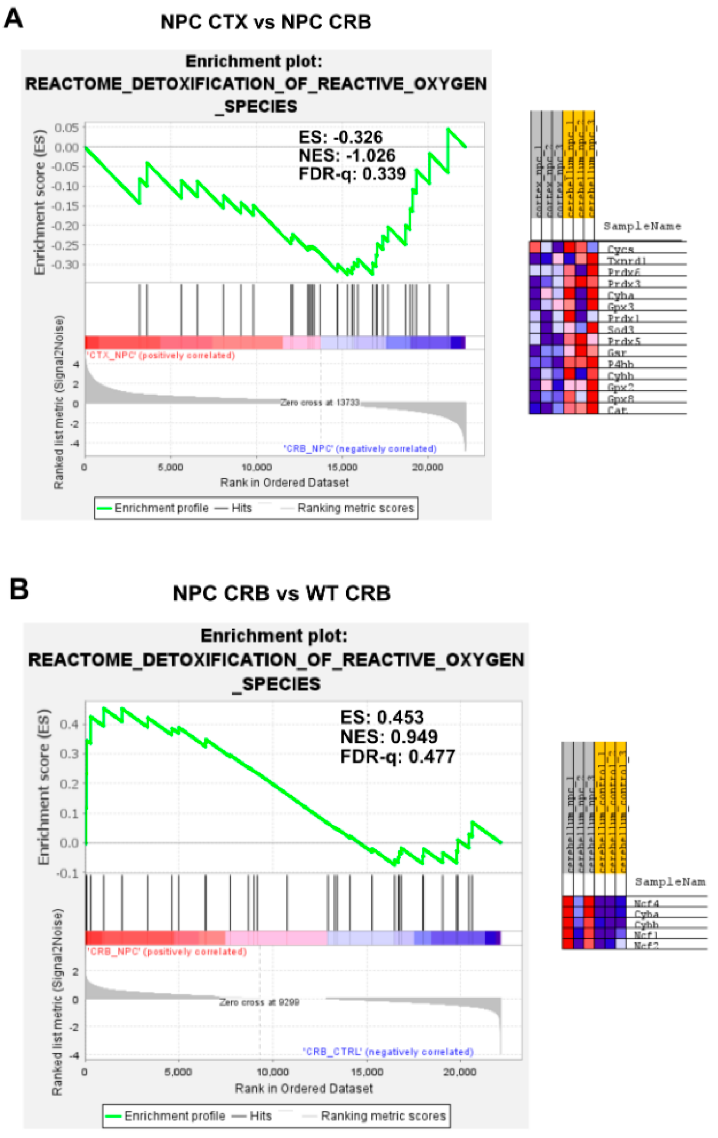 Genes 15 00101 g0a6a
