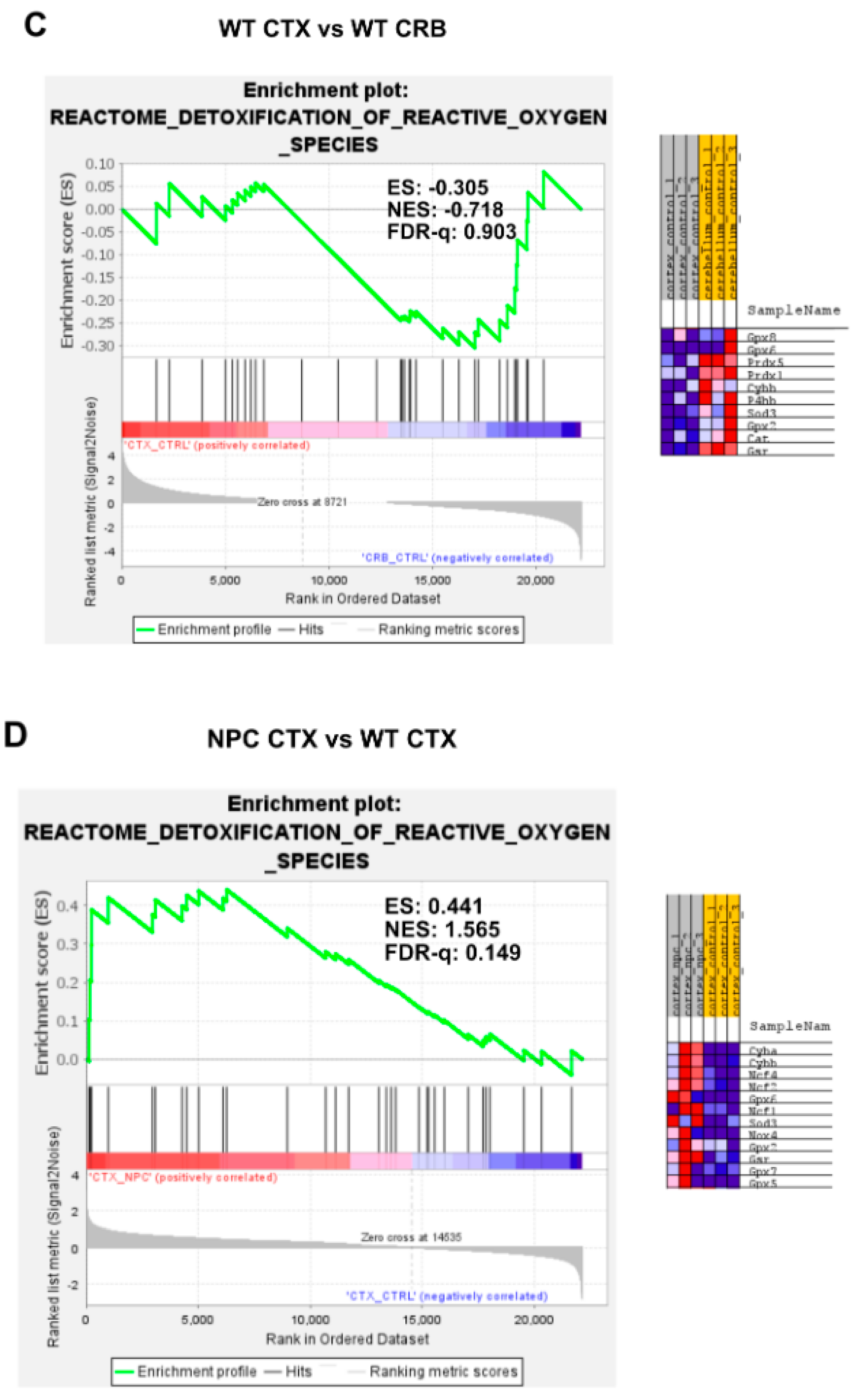 Genes 15 00101 g0a6b