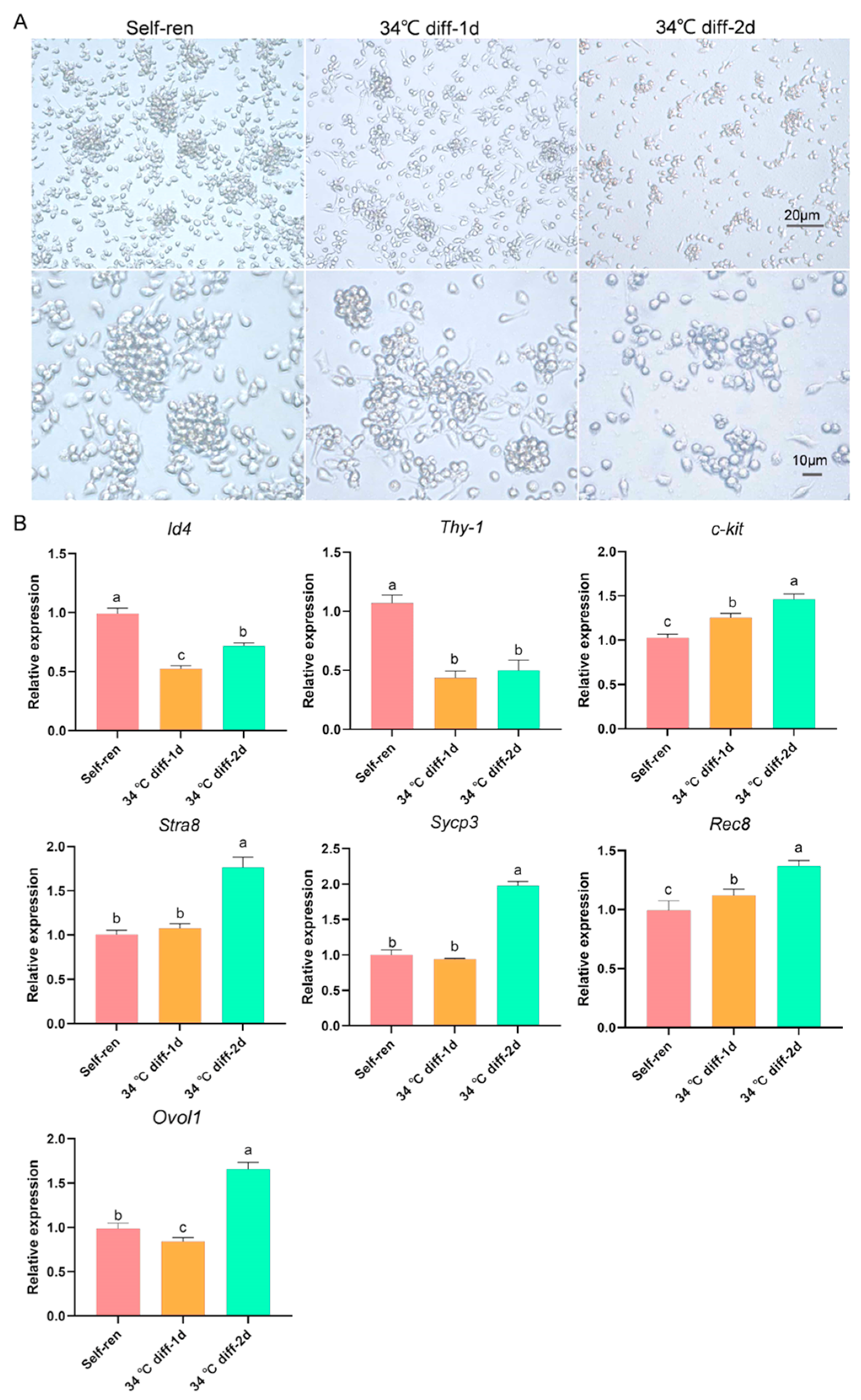 Genes 15 00141 g001 Genes 15 00141 g001