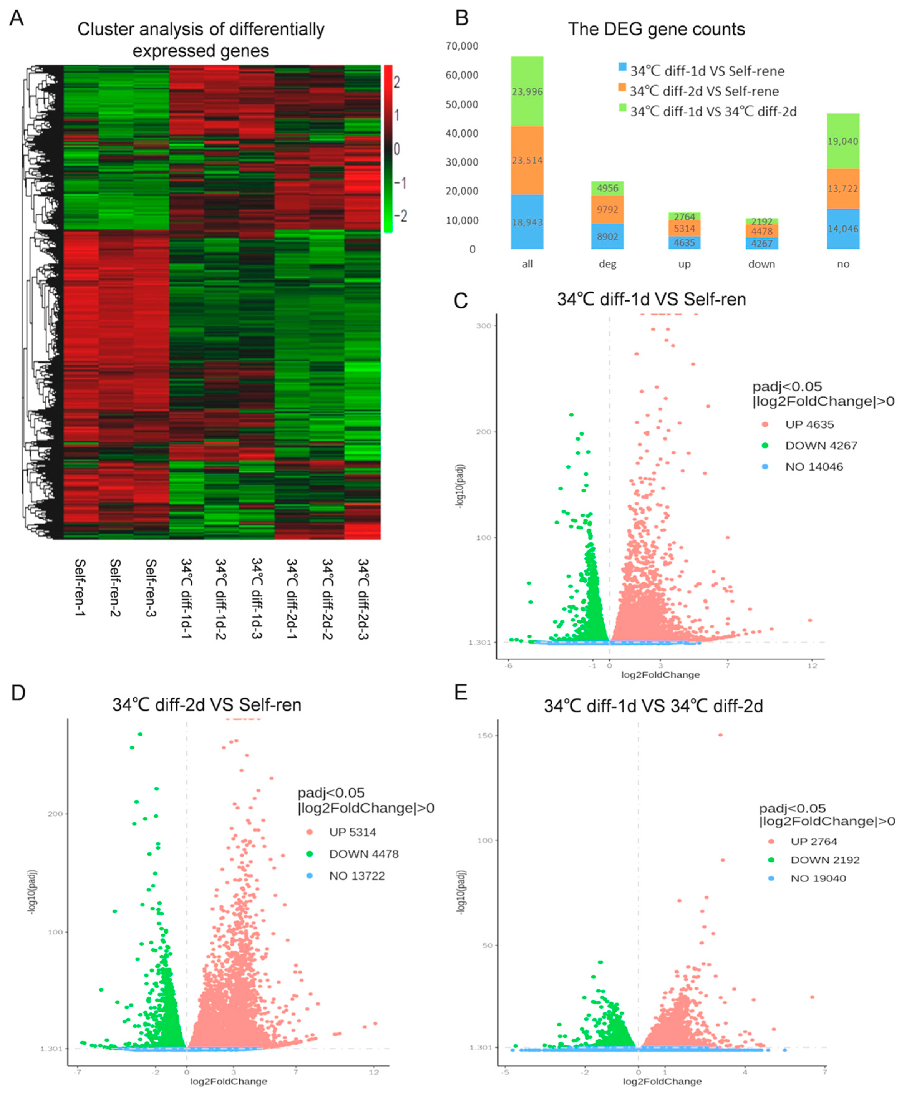 Genes 15 00141 g002 Genes 15 00141 g002