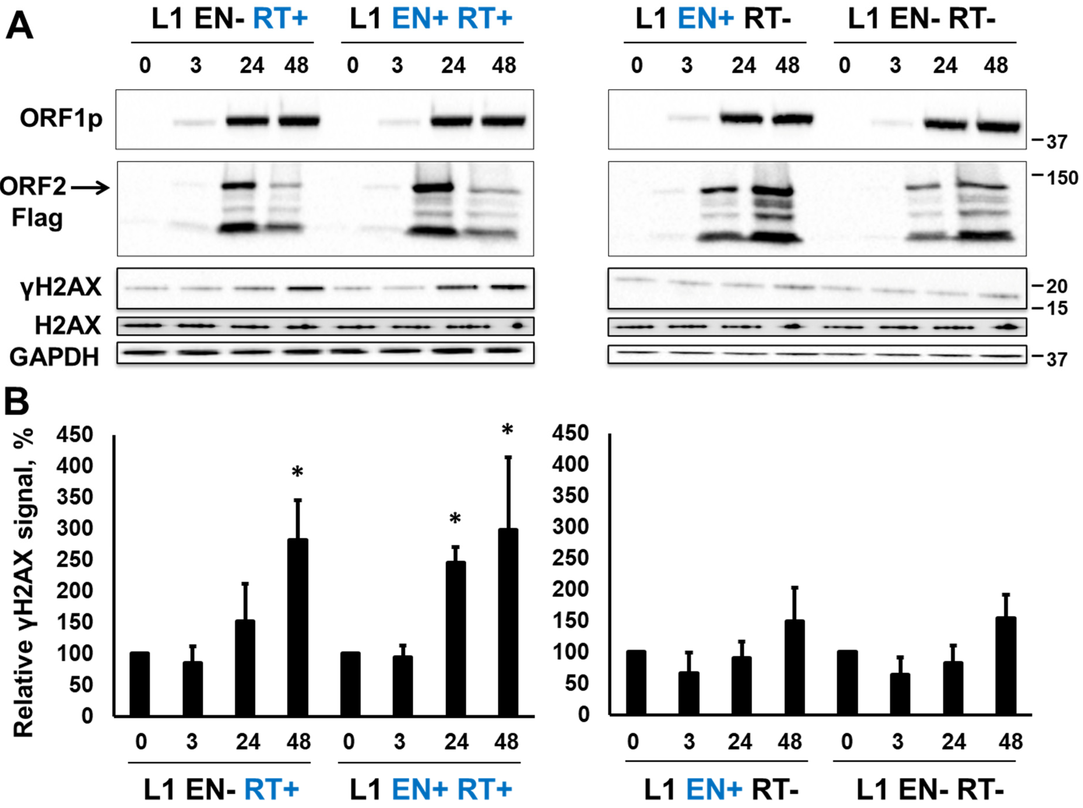Genes 15 00143 g002 Genes 15 00143 g002