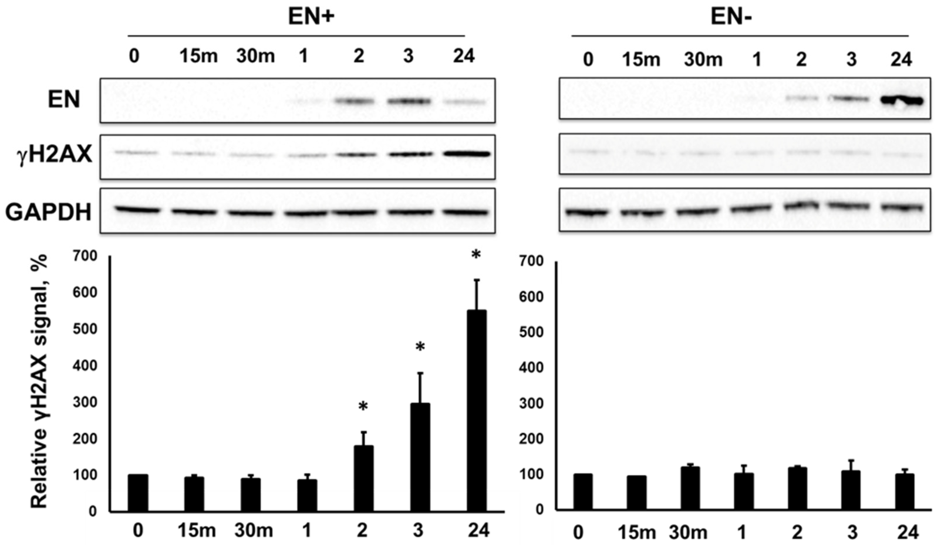 Genes 15 00143 g004 Genes 15 00143 g004