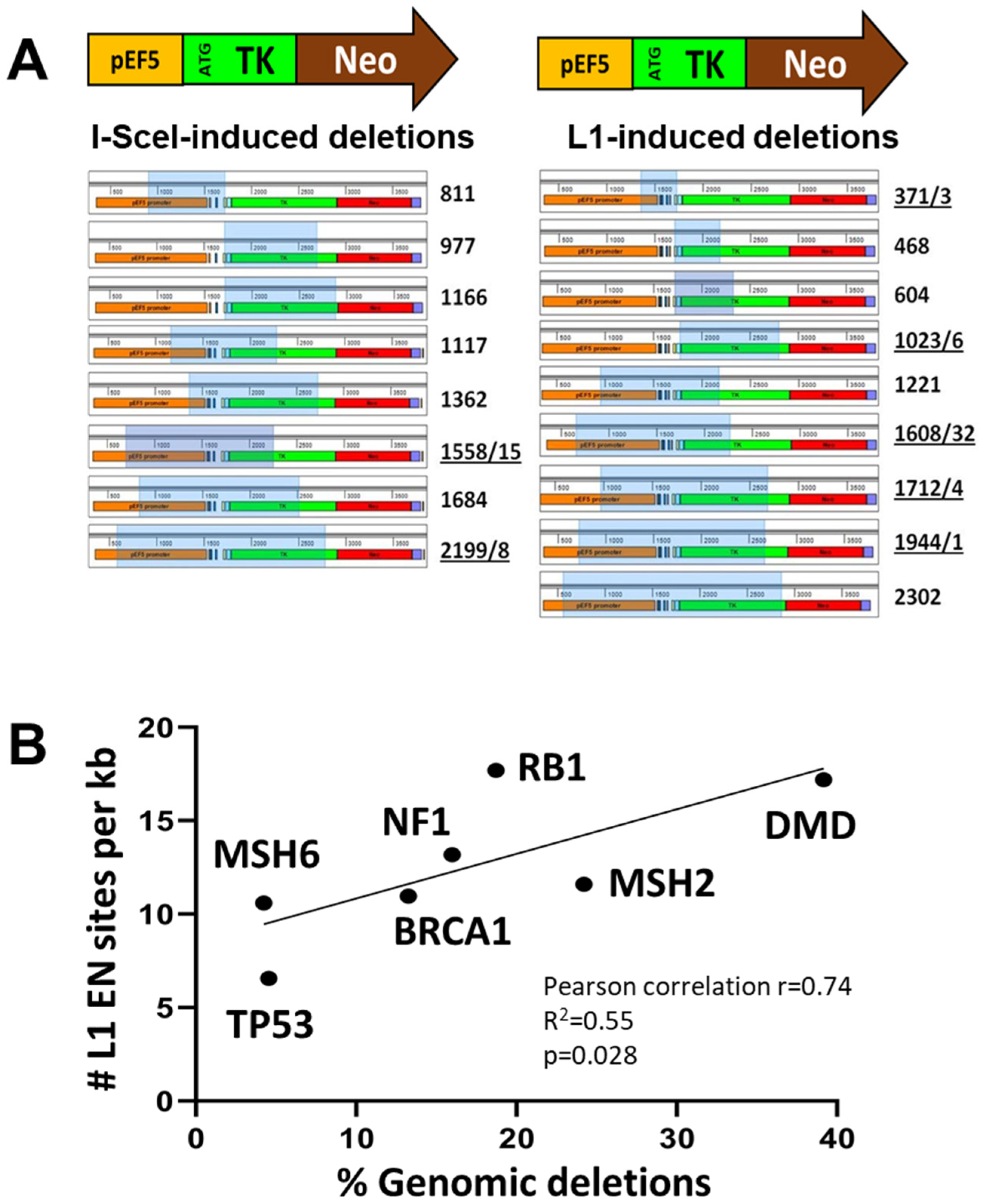 Genes 15 00143 g007 Genes 15 00143 g007