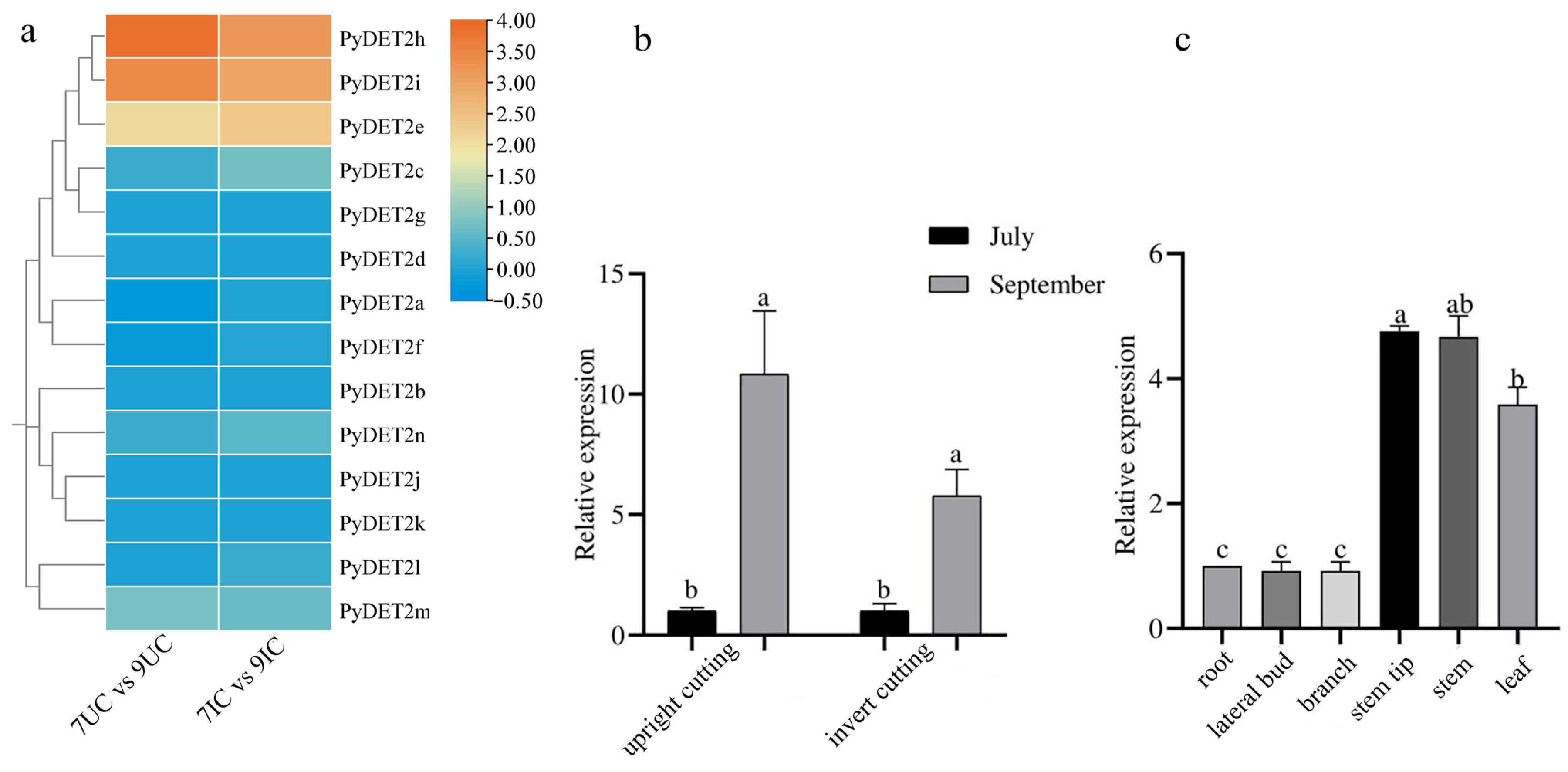 Genes 15 00148 g009