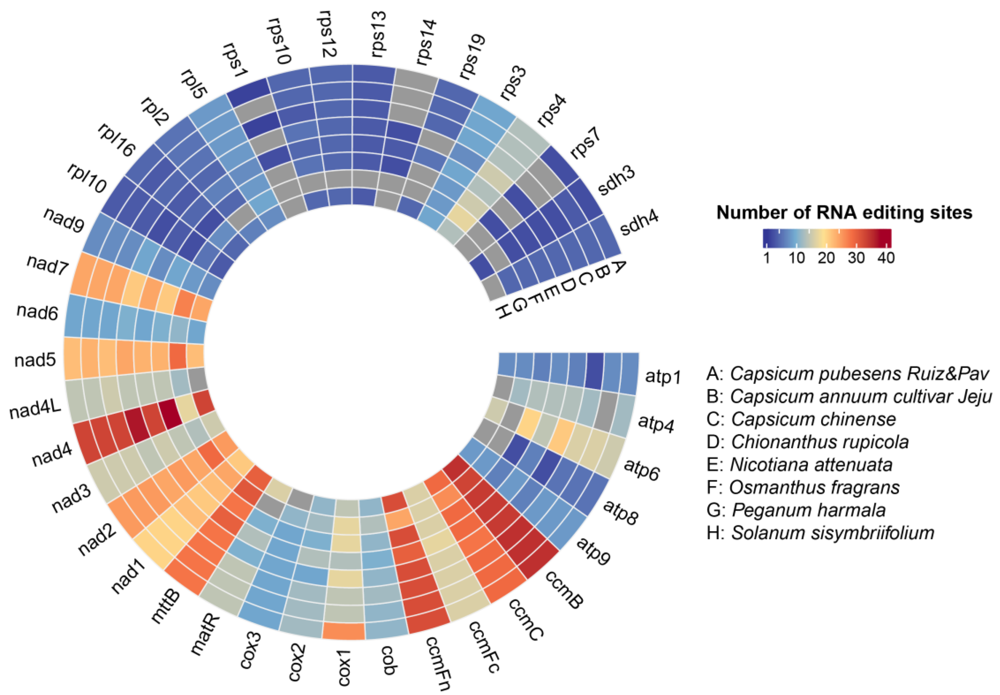 Genes 15 00152 g004