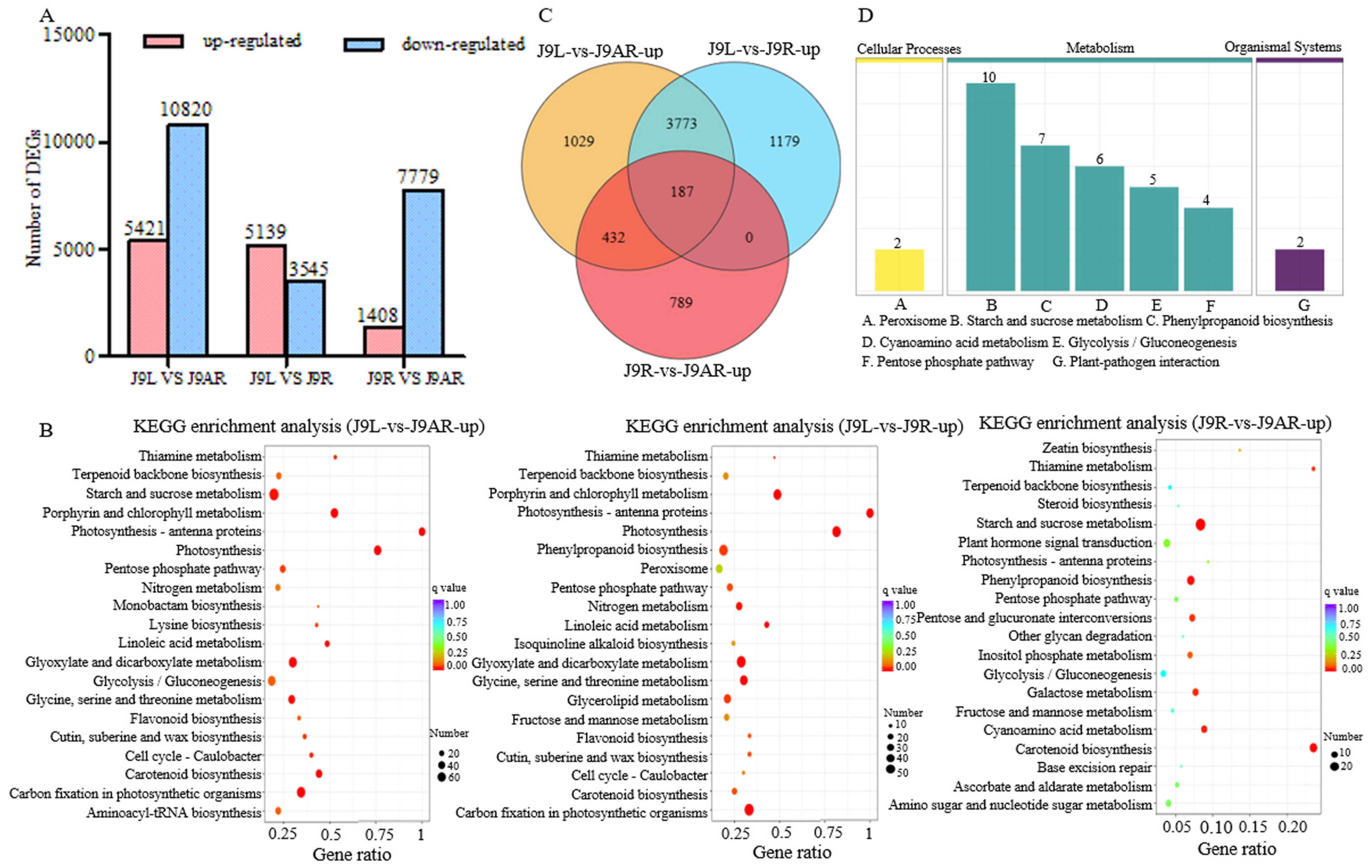 Genes 15 00155 g004
