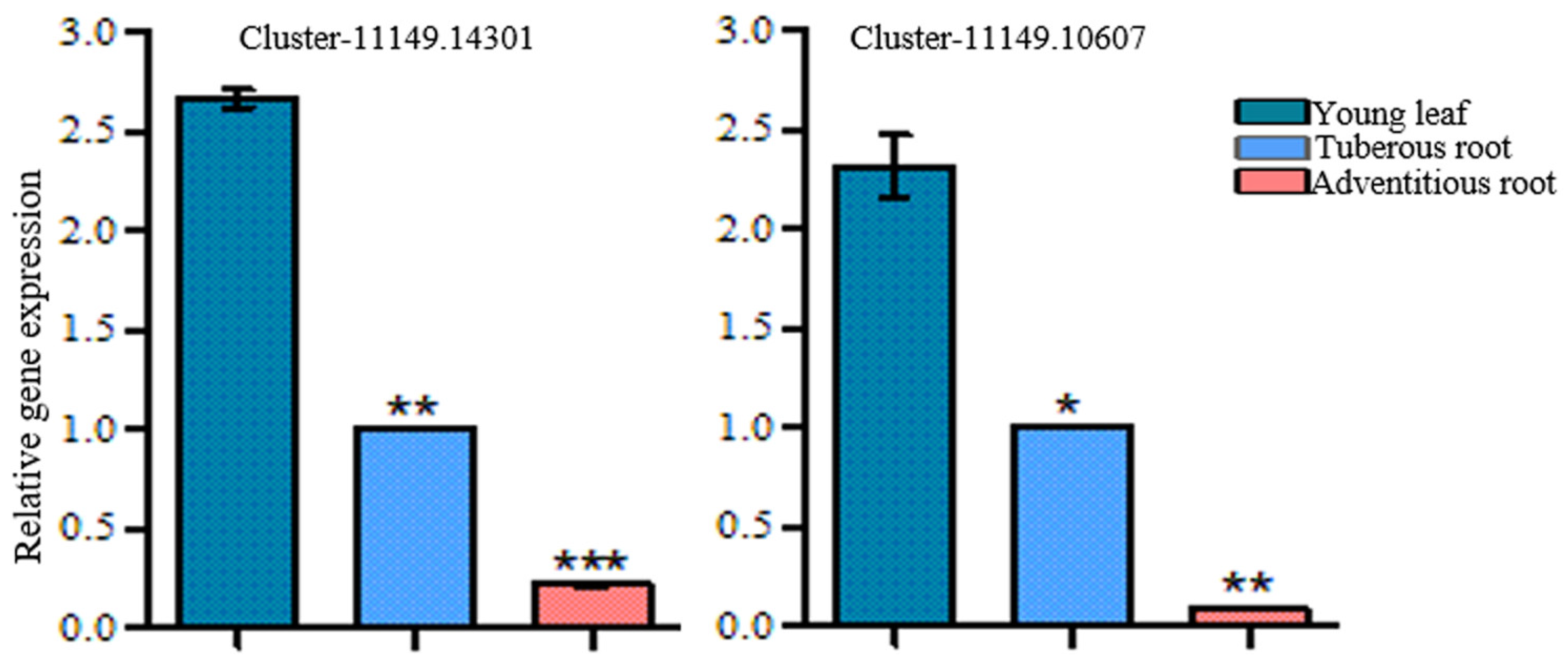 Genes 15 00155 g007