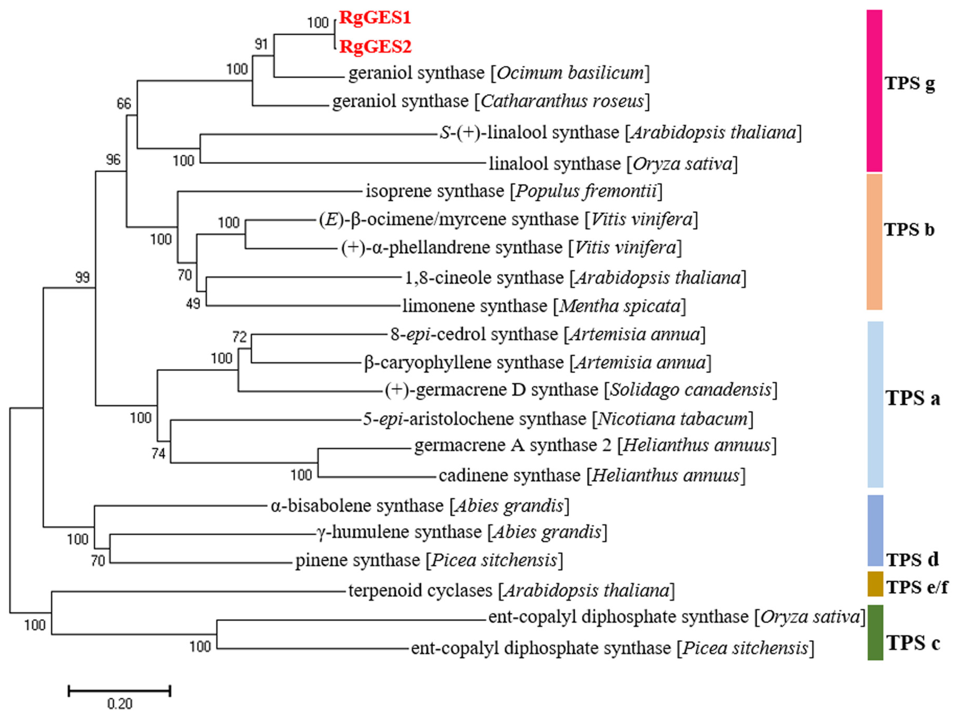 Genes 15 00155 g008