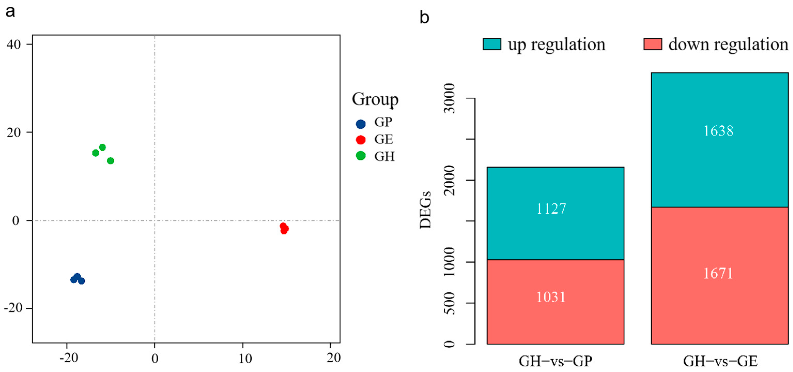 Genes 15 00182 g001