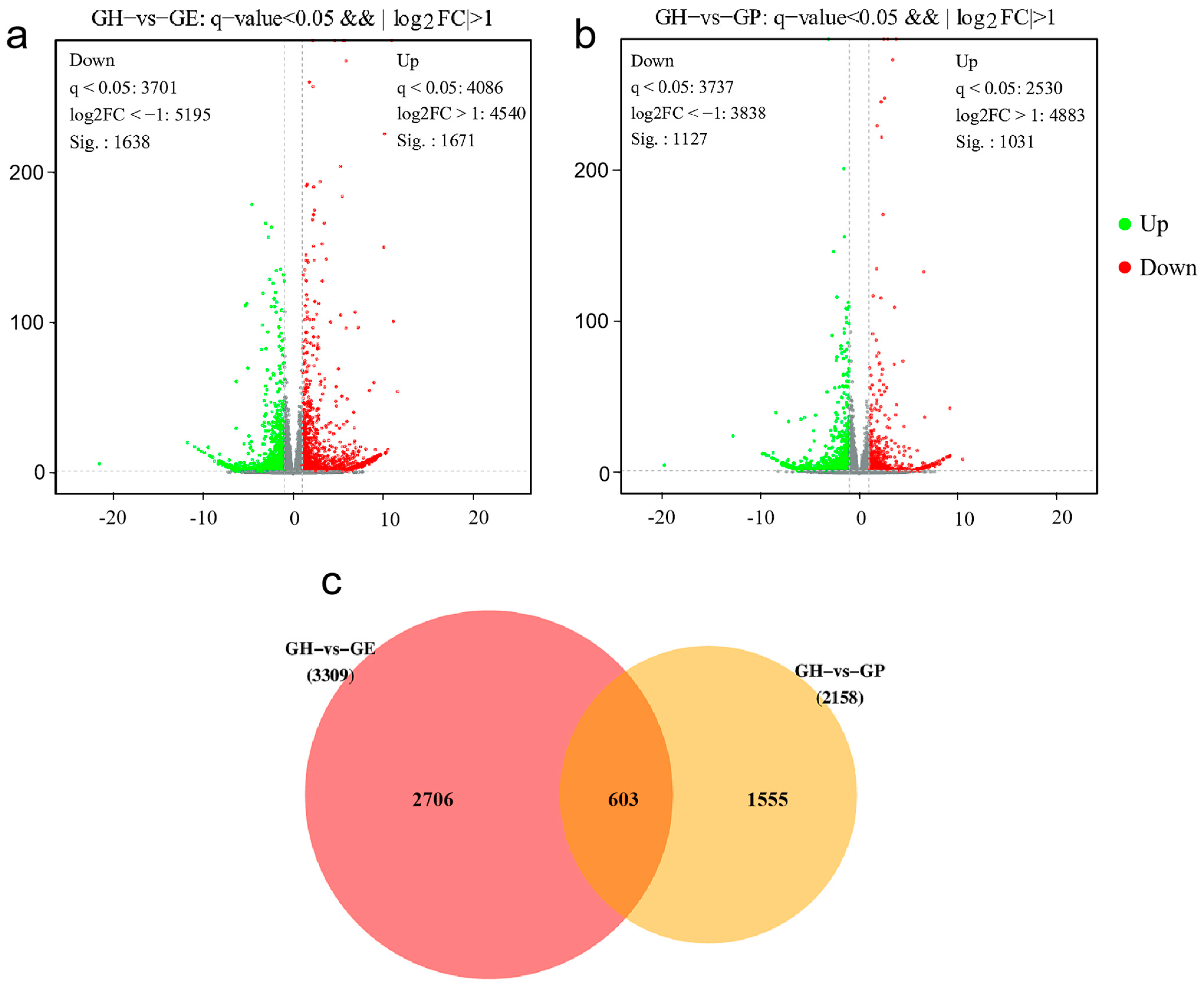 Genes 15 00182 g002