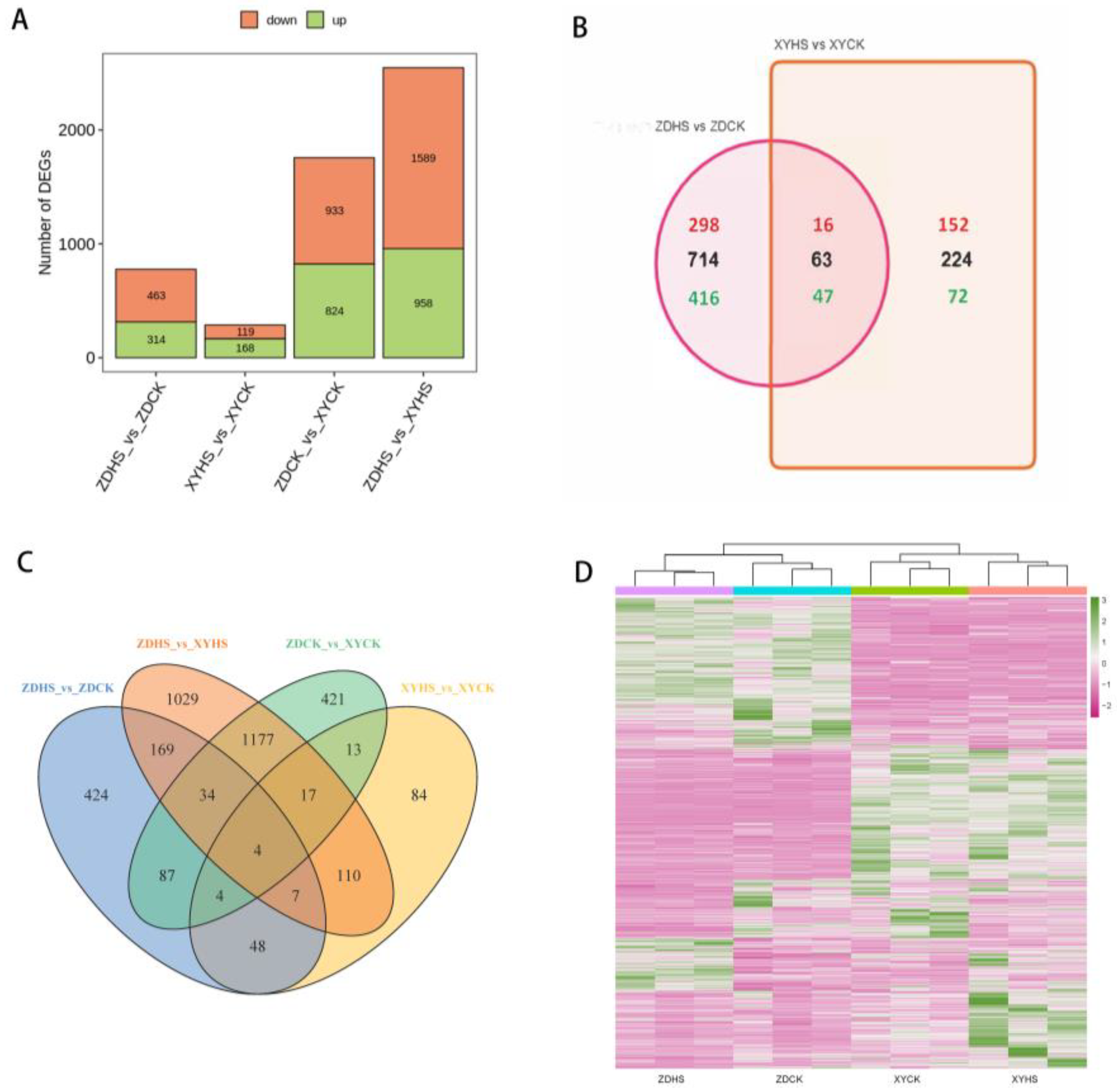 Genes 15 00189 g002