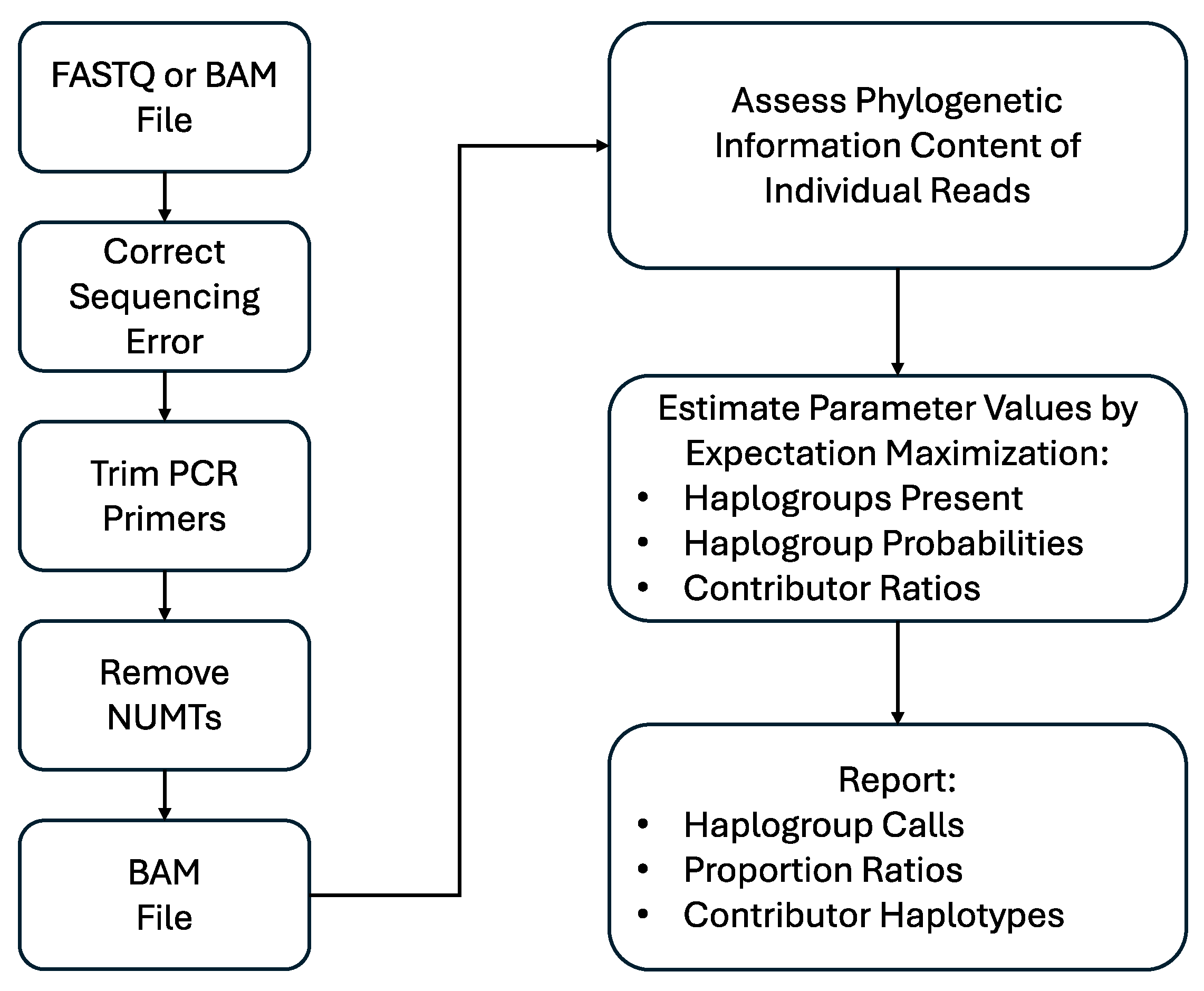 Genes 15 00194 g001