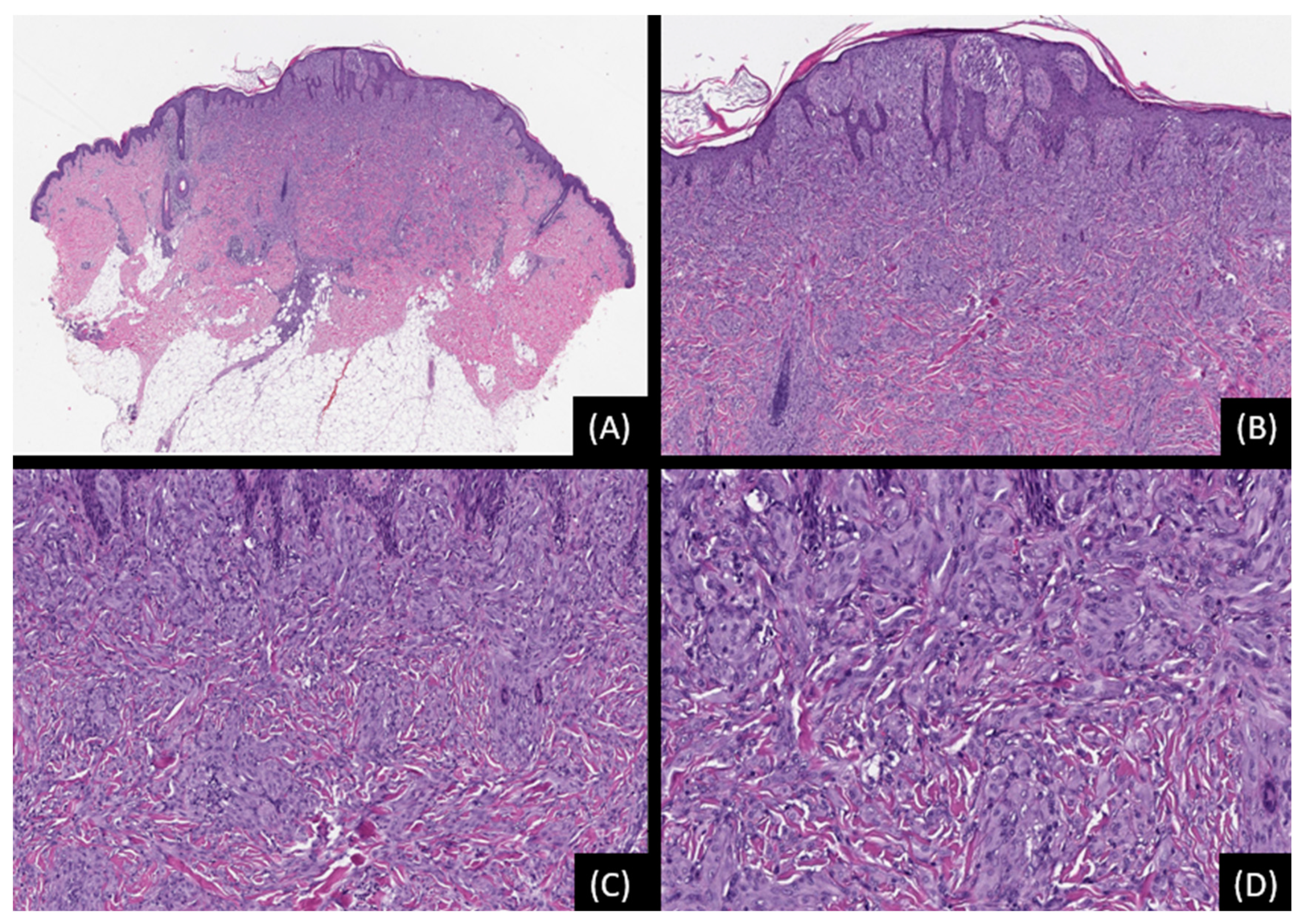 Genes 15 00195 g002 Genes 15 00195 g002