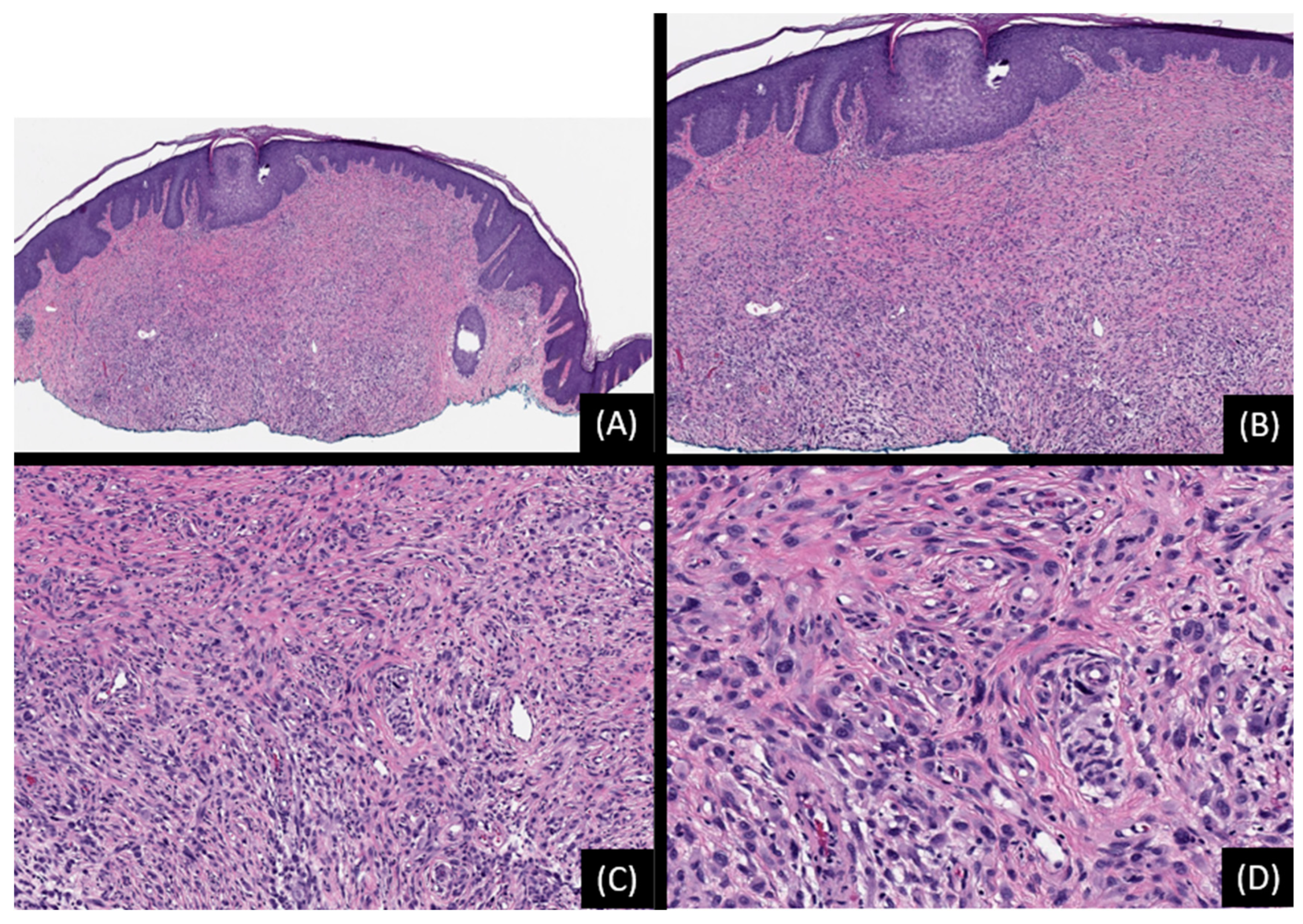 Genes 15 00195 g004 Genes 15 00195 g004