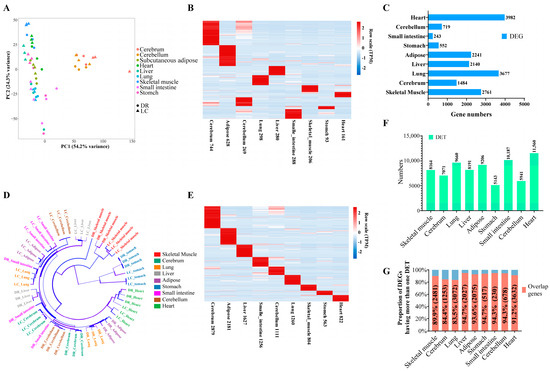 Exploring Multi-Tissue Alternative Splicing and Skeletal