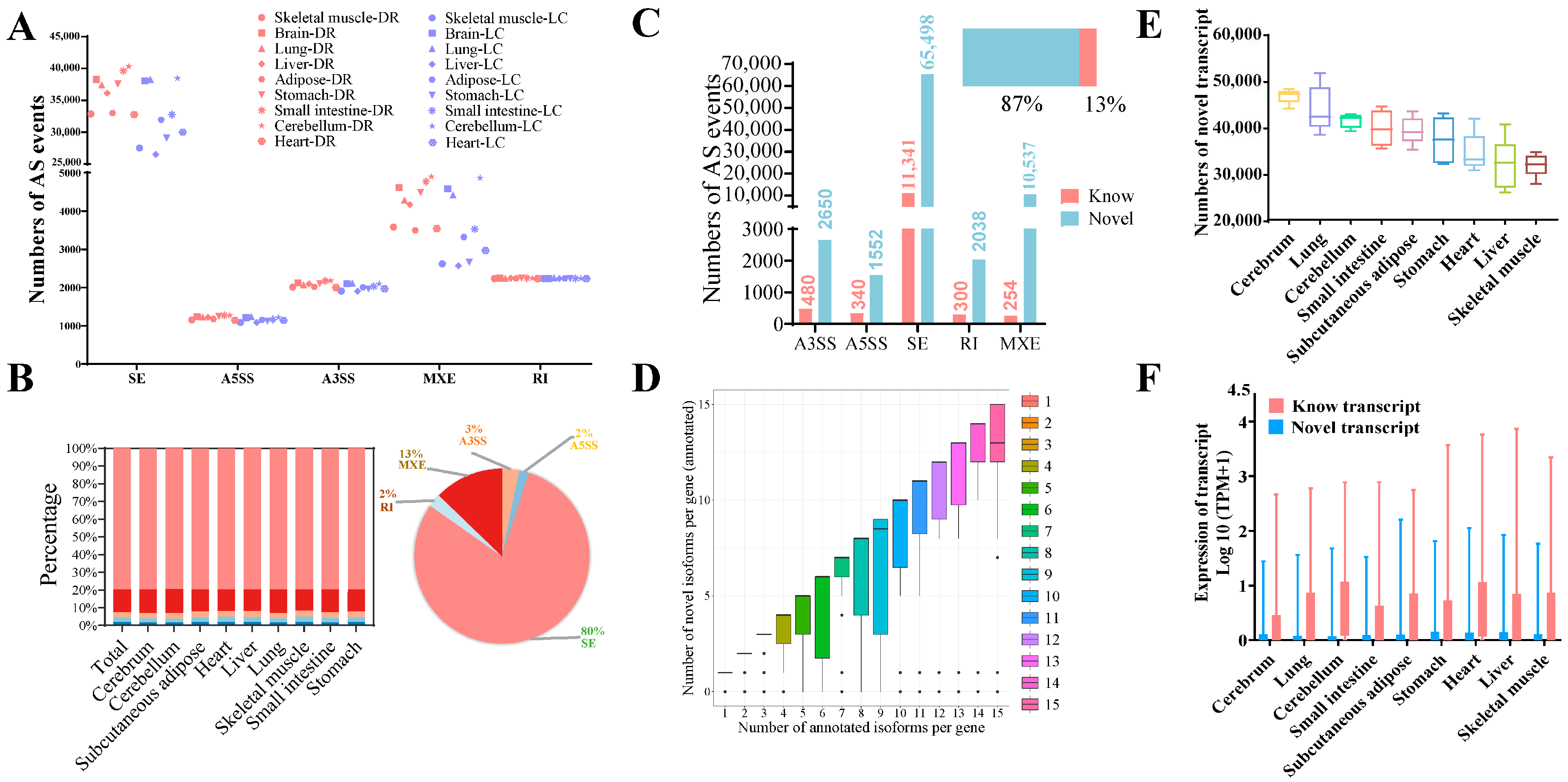 Genes 15 00196 g002
