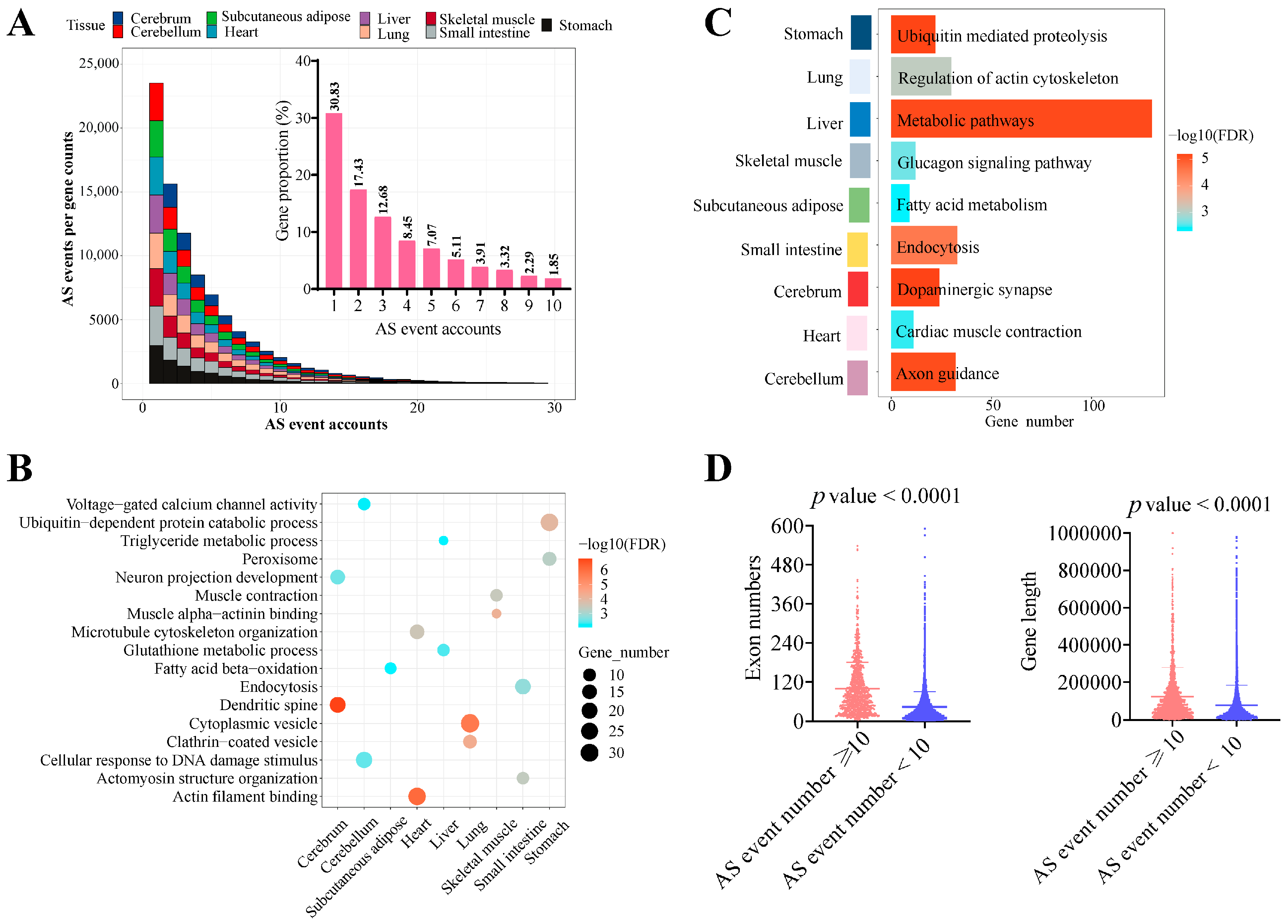 Genes 15 00196 g003