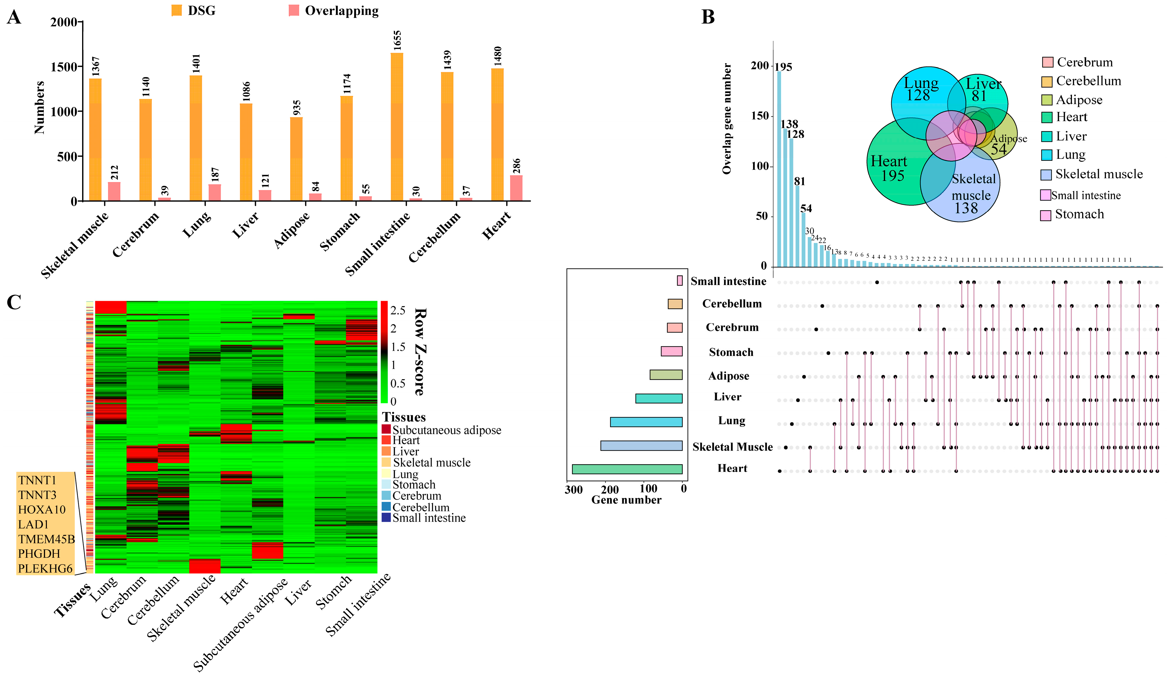Genes 15 00196 g004