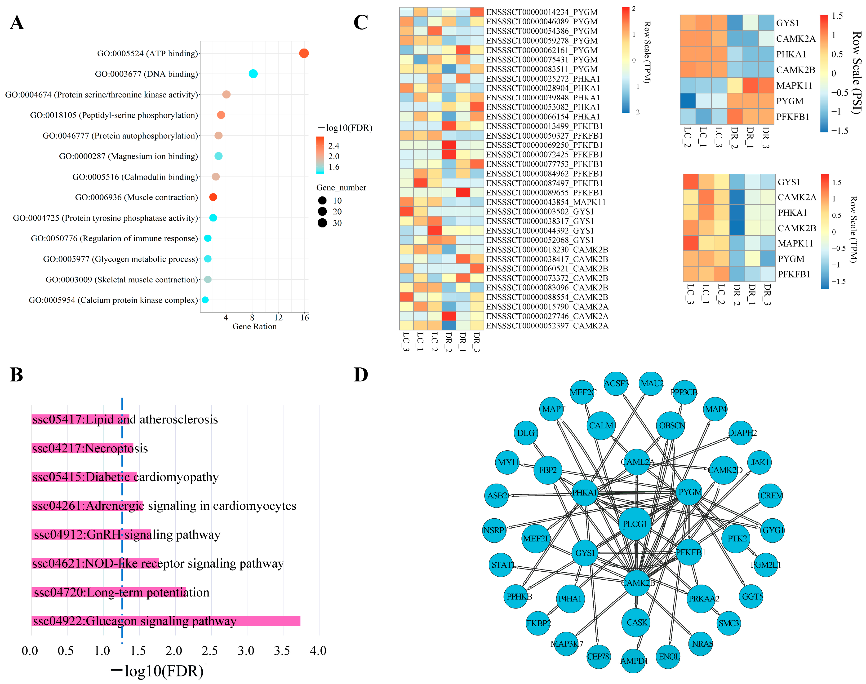 Genes 15 00196 g005