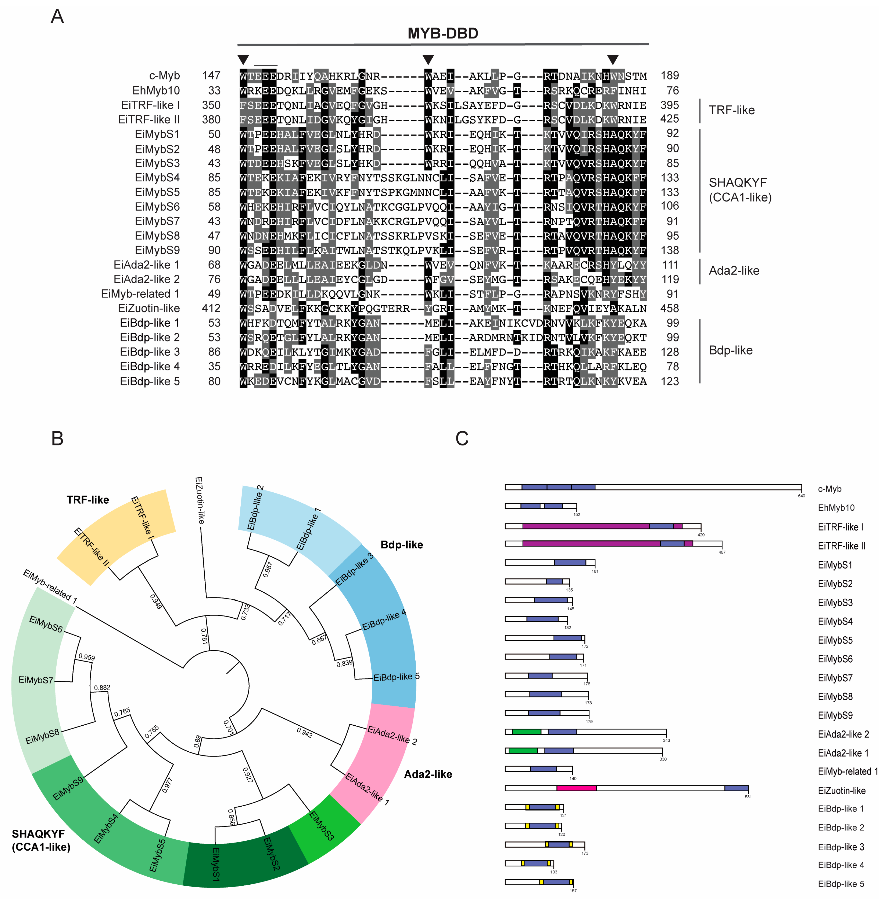 Genes 15 00201 g001