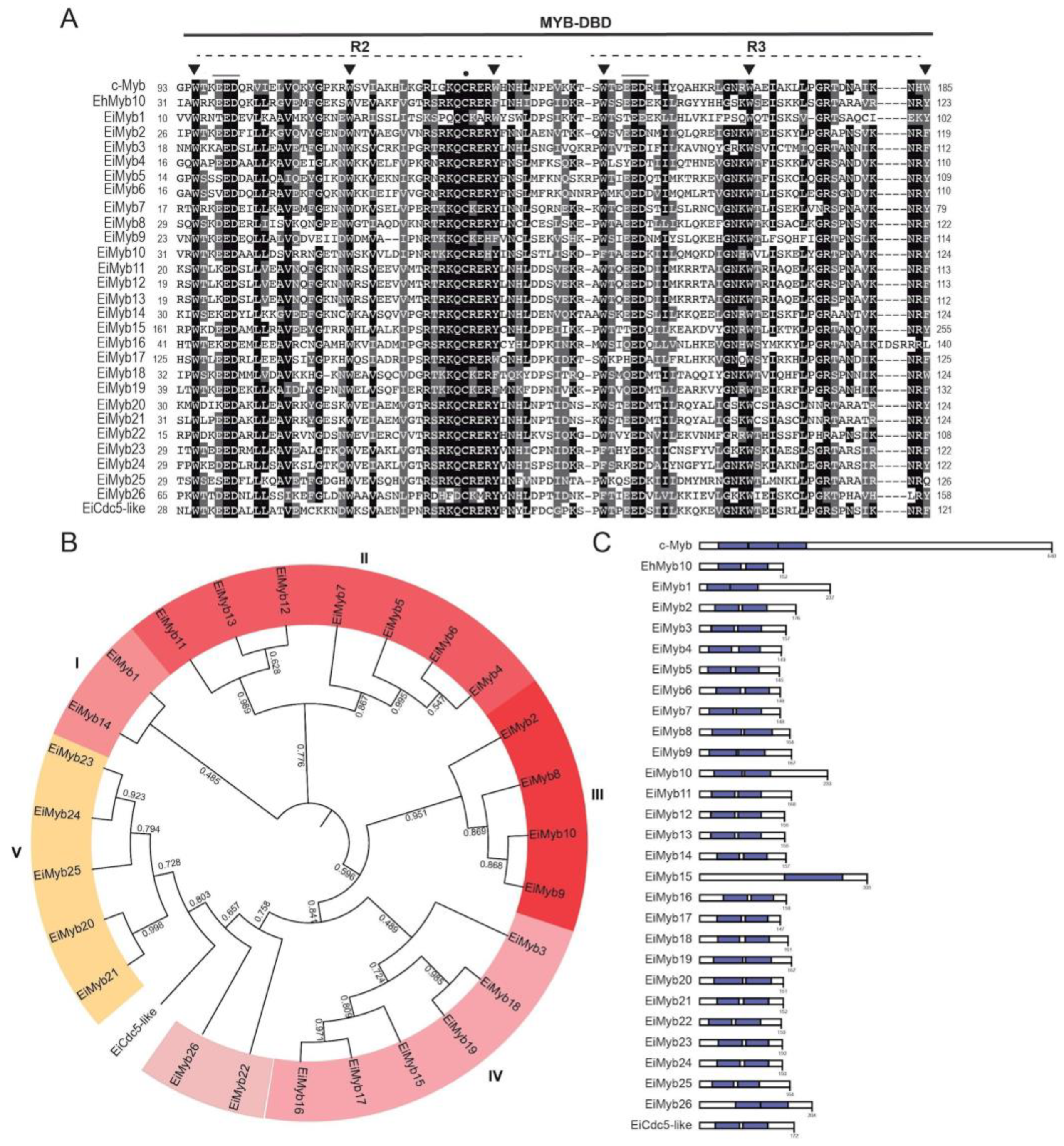 Genes 15 00201 g003