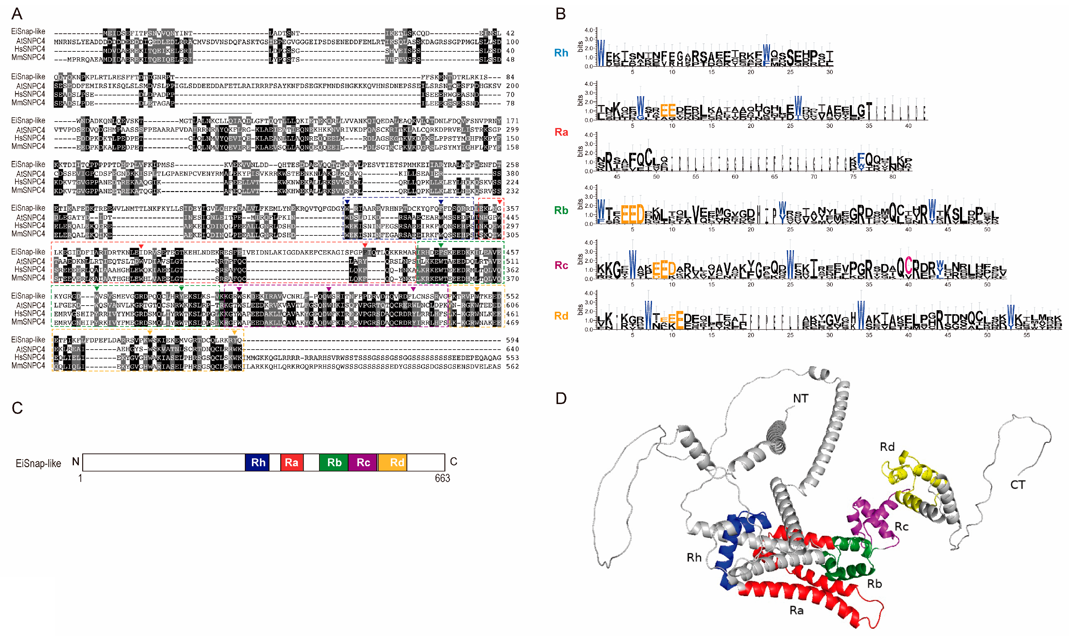 Genes 15 00201 g004