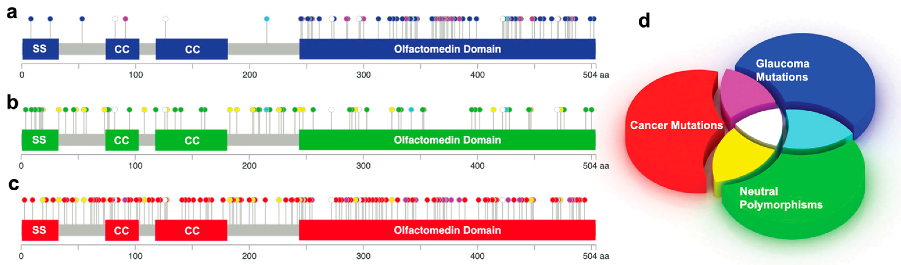 Genes 15 00203 g001