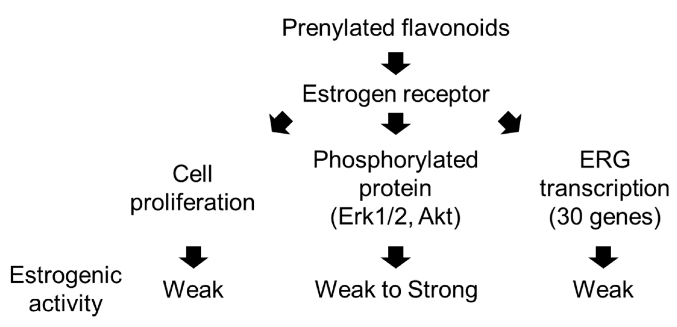 Genes 15 00204 g006