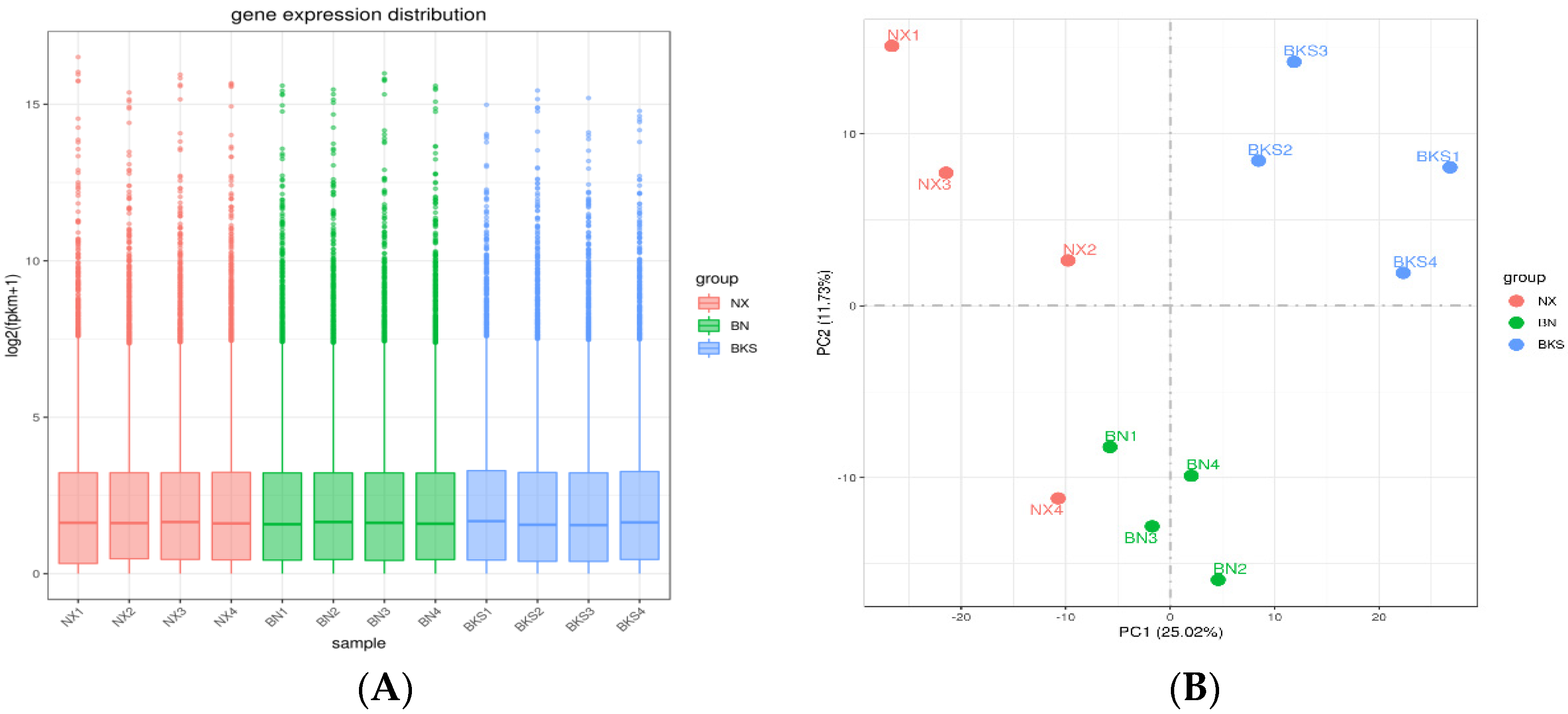 Genes 15 00205 g001a Genes 15 00205 g001a