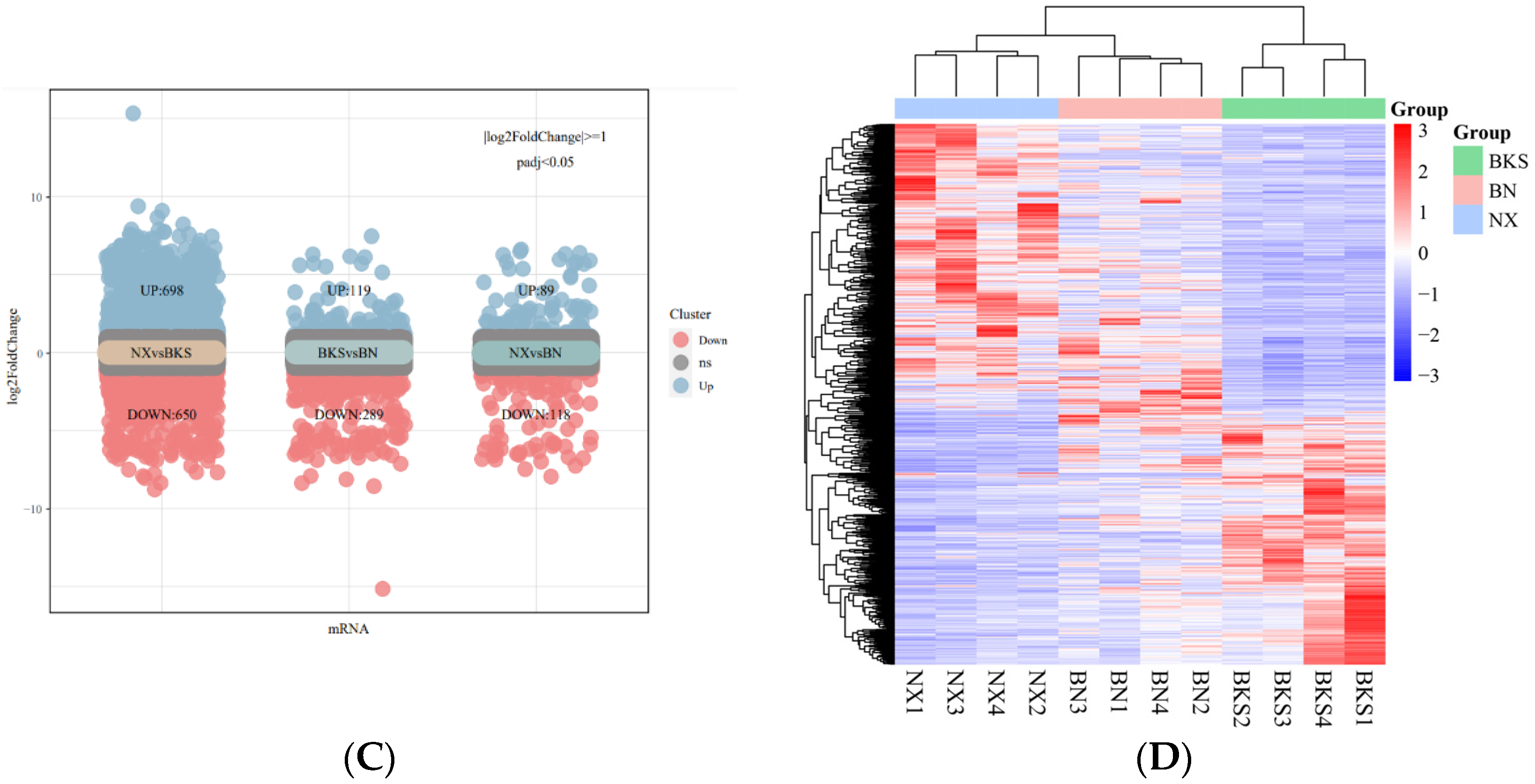 Genes 15 00205 g001b Genes 15 00205 g001b