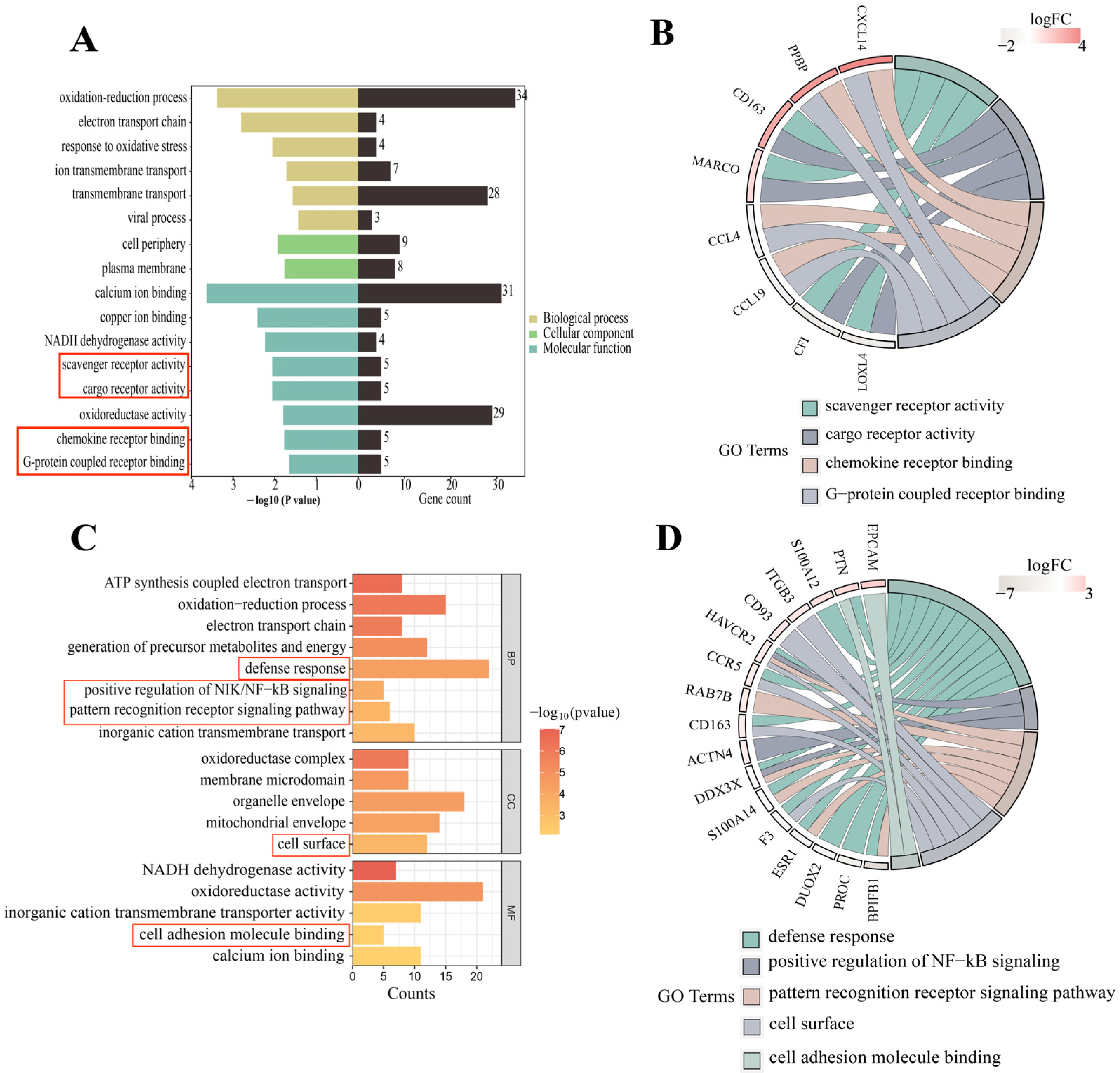 Genes 15 00205 g002 Genes 15 00205 g002