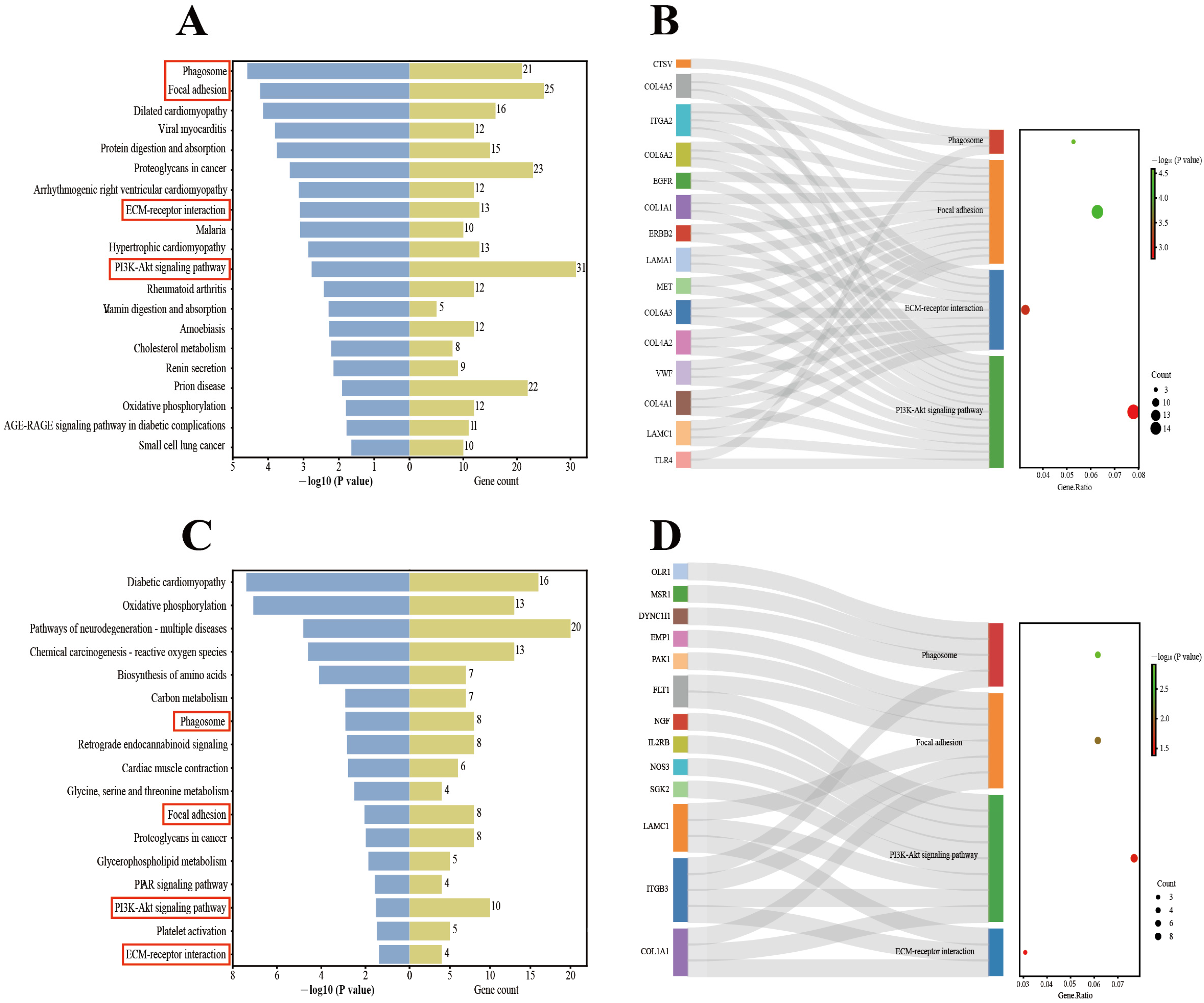 Genes 15 00205 g004 Genes 15 00205 g004