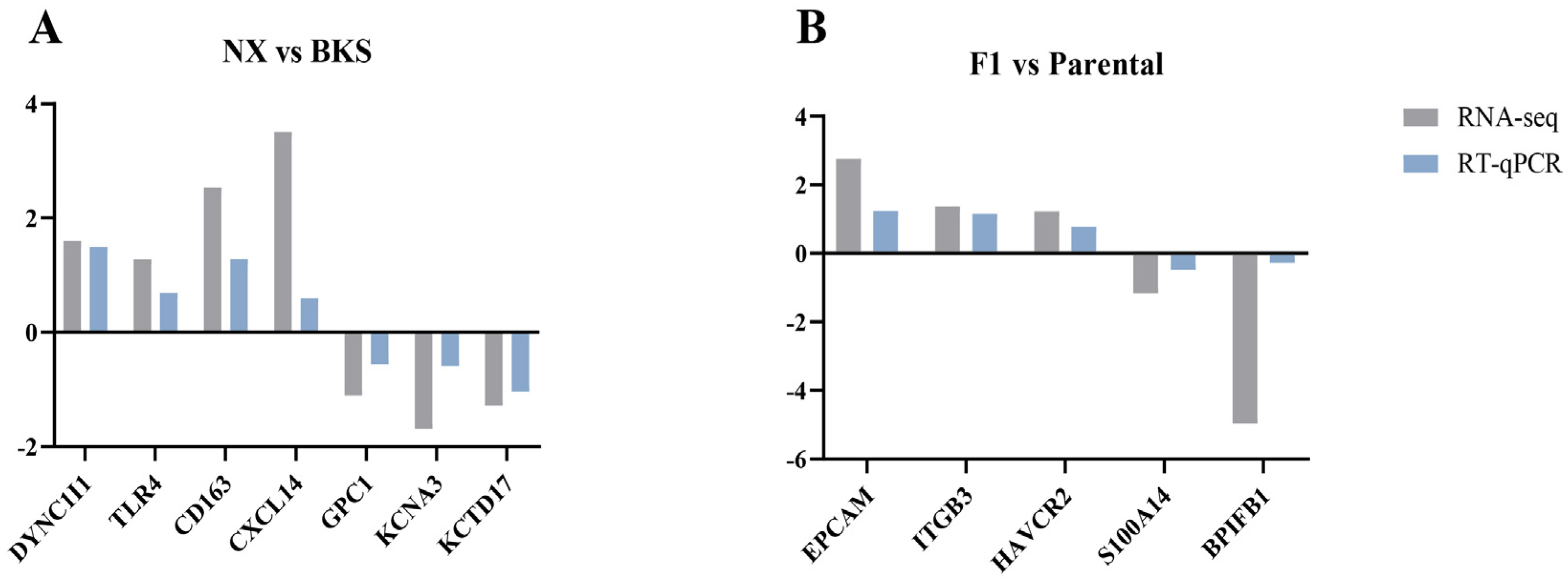 Genes 15 00205 g007 Genes 15 00205 g007