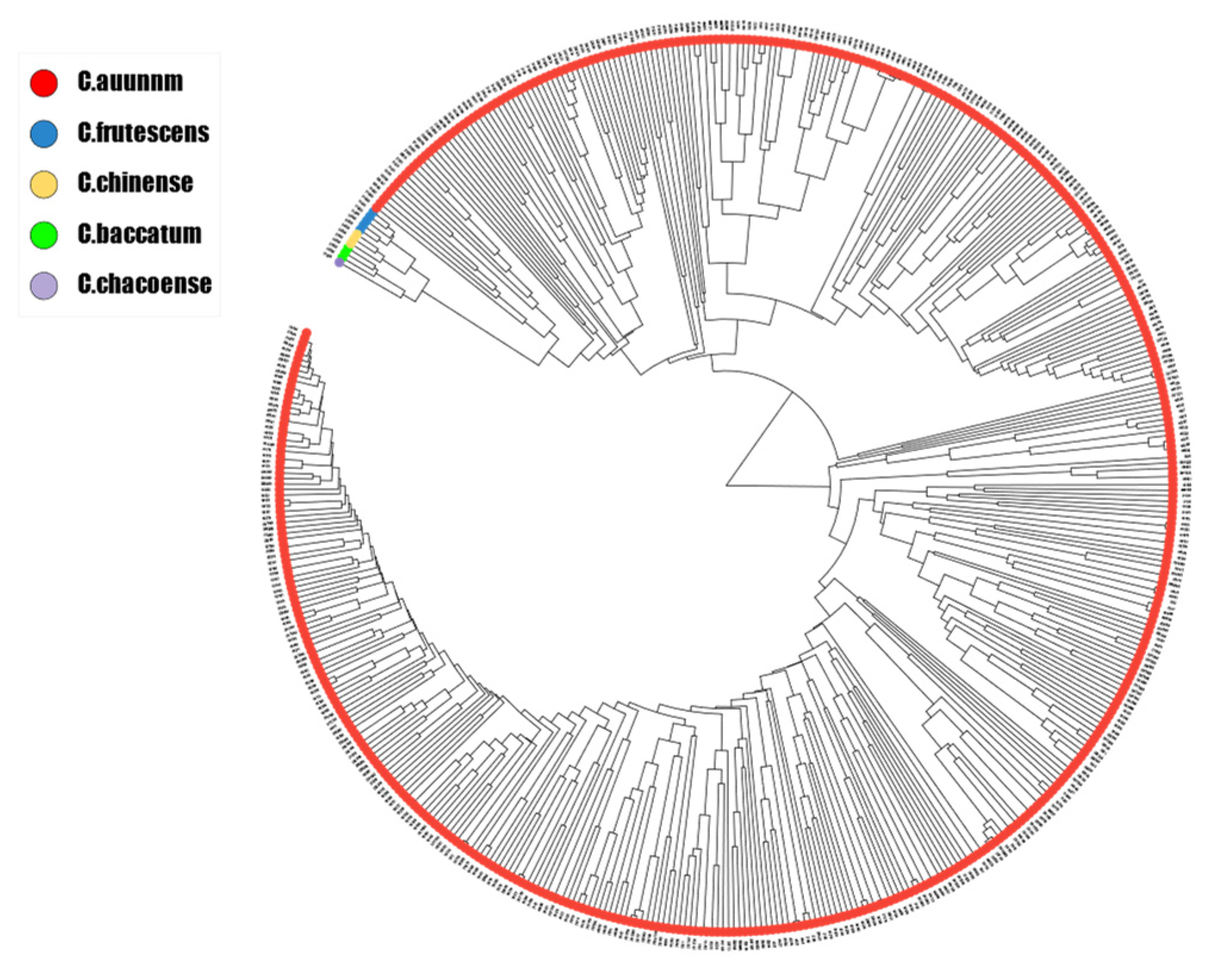 Genes 15 00214 g002 Genes 15 00214 g002