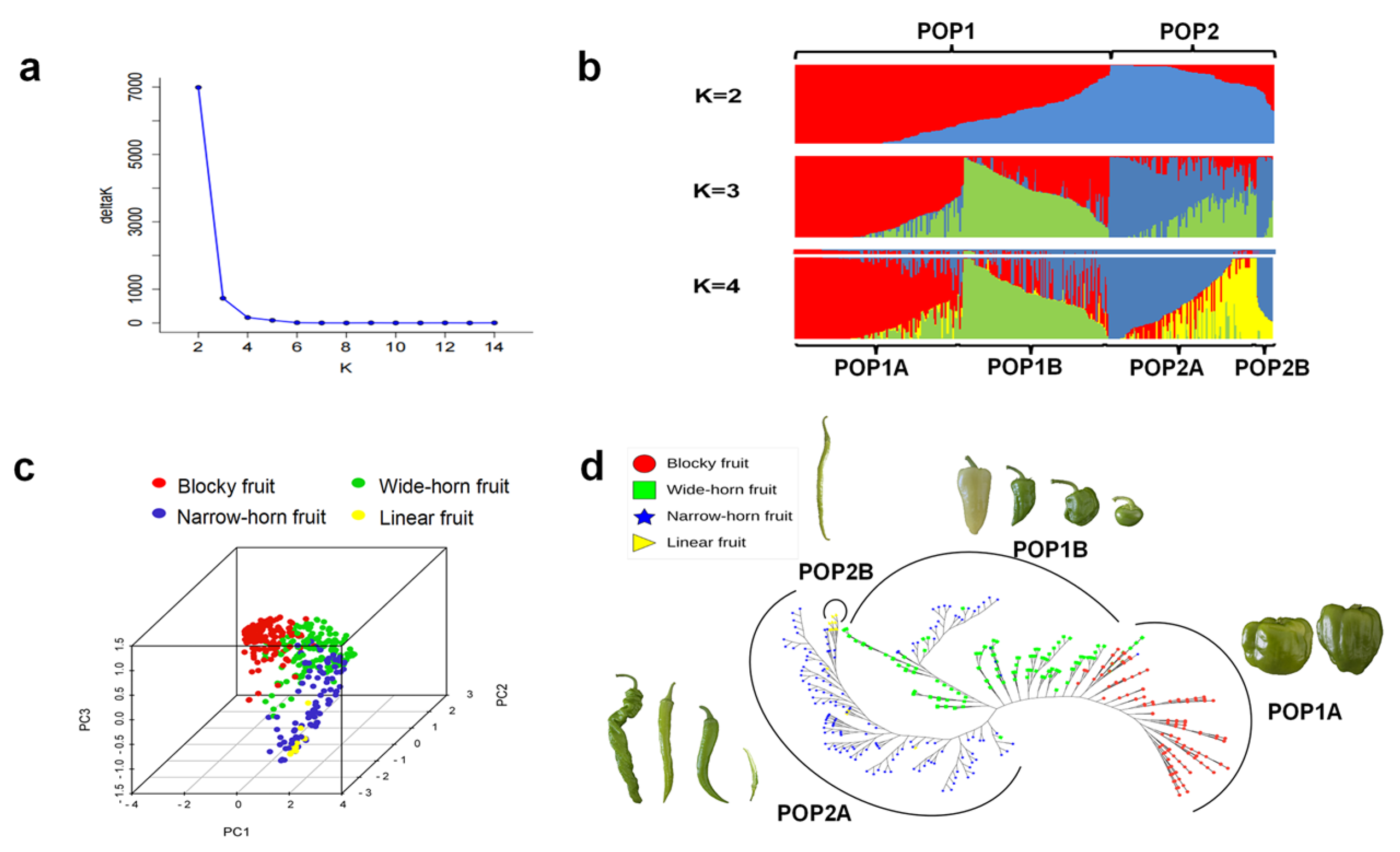 Genes 15 00214 g003 Genes 15 00214 g003