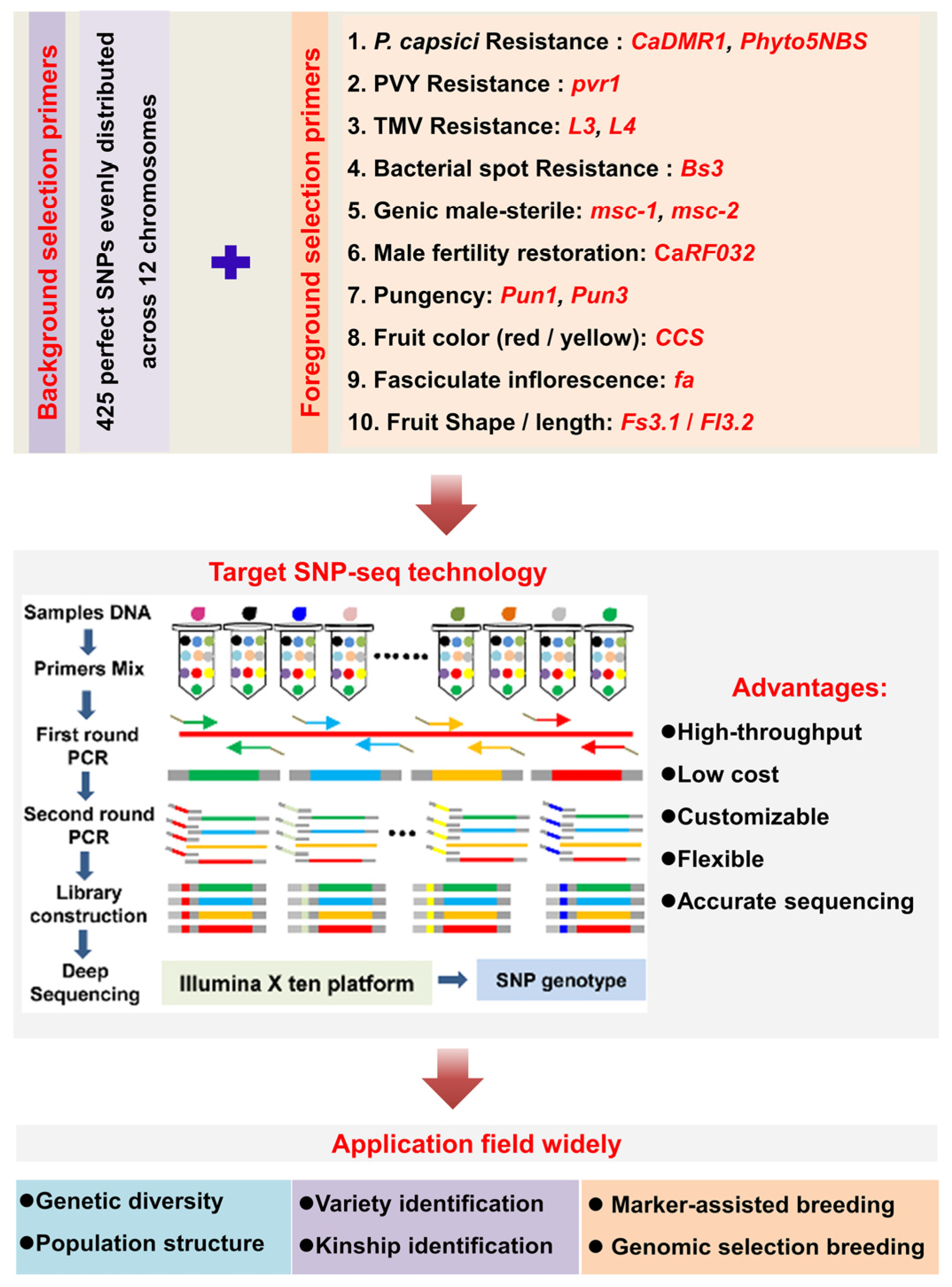 Genes 15 00214 g006 Genes 15 00214 g006