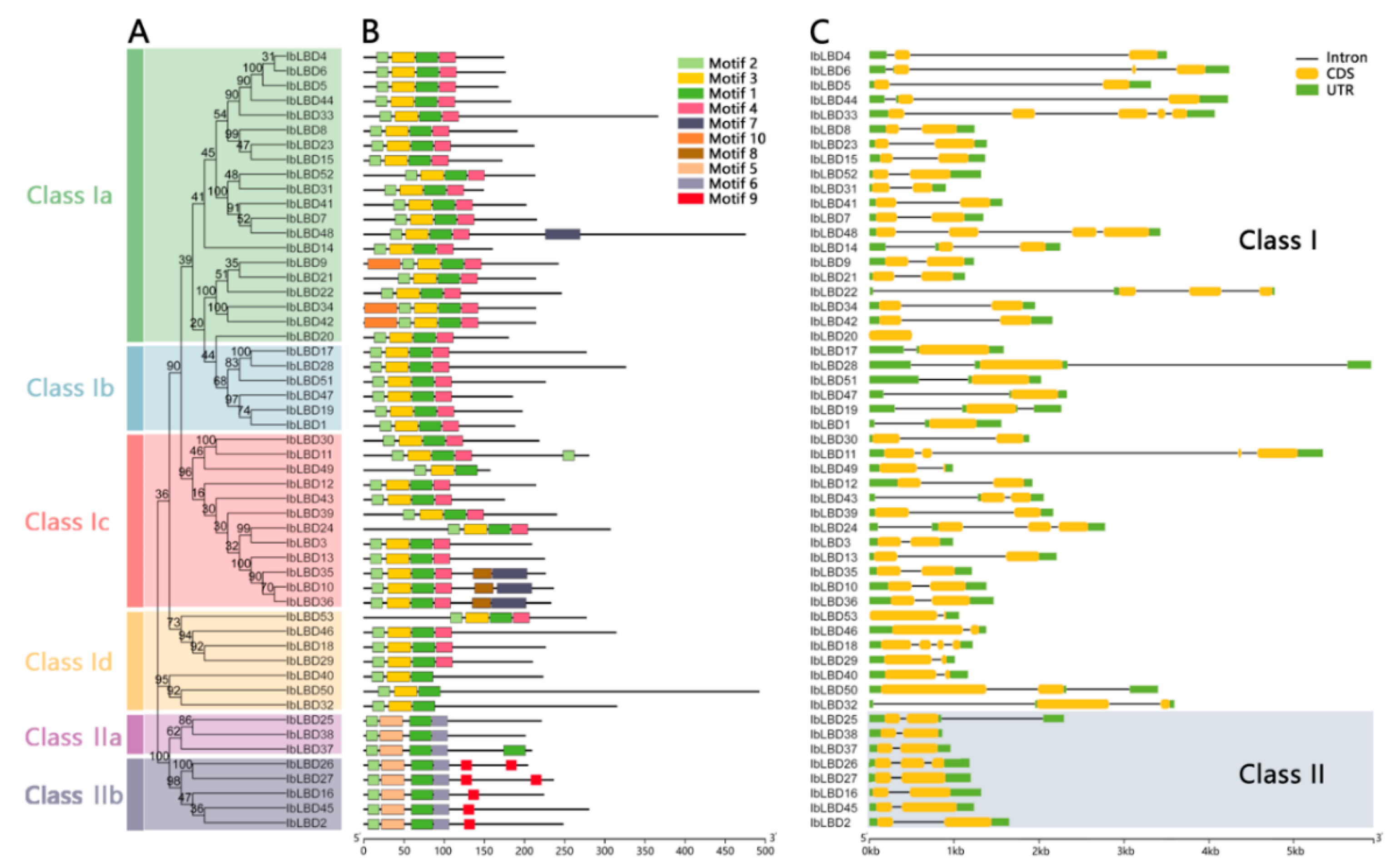 Genes 15 00237 g001 Genes 15 00237 g001