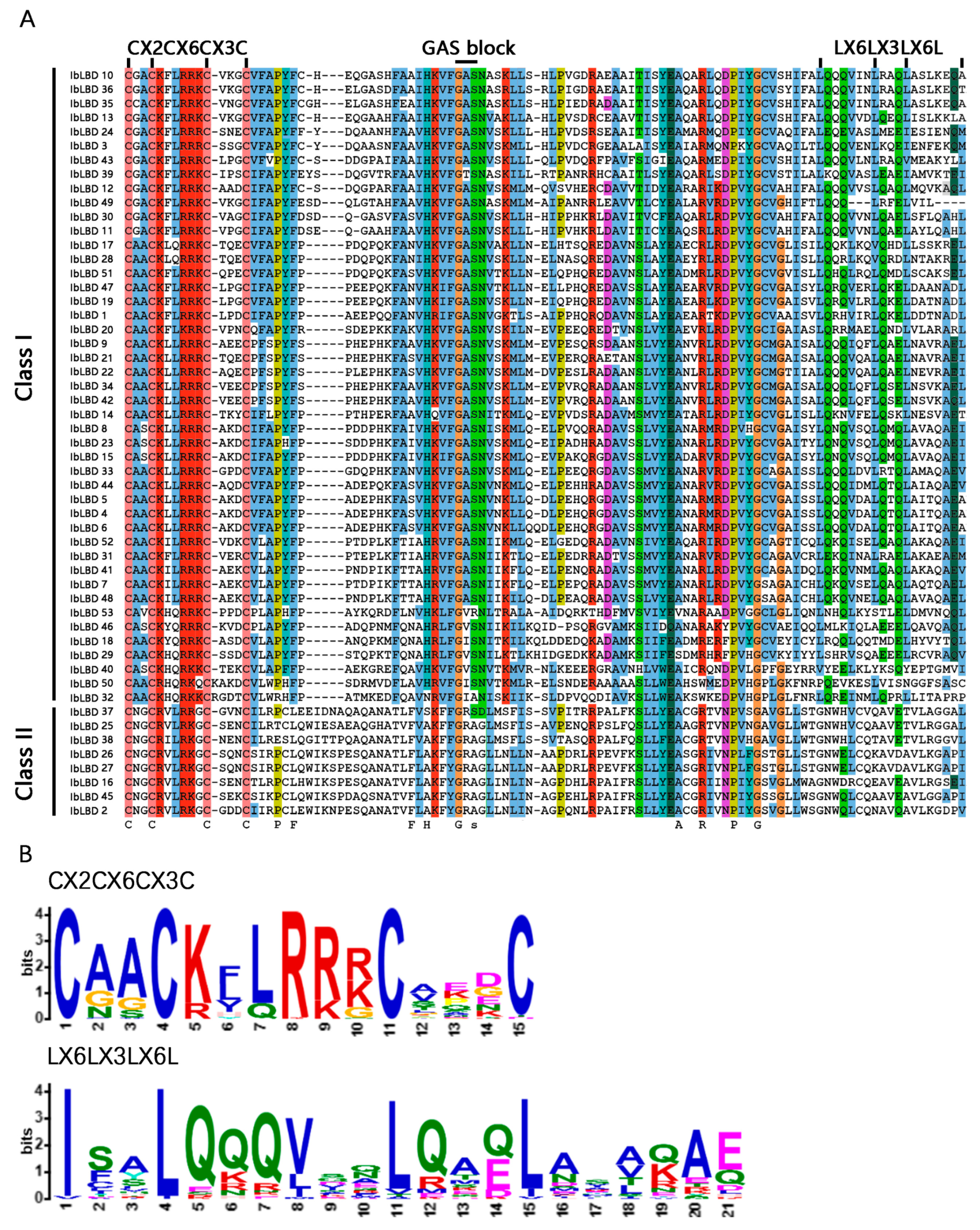 Genes 15 00237 g002 Genes 15 00237 g002