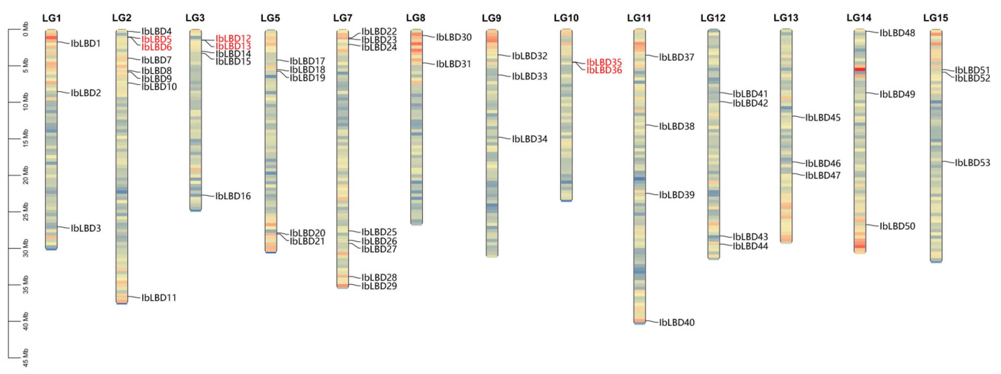 Genes 15 00237 g004 Genes 15 00237 g004