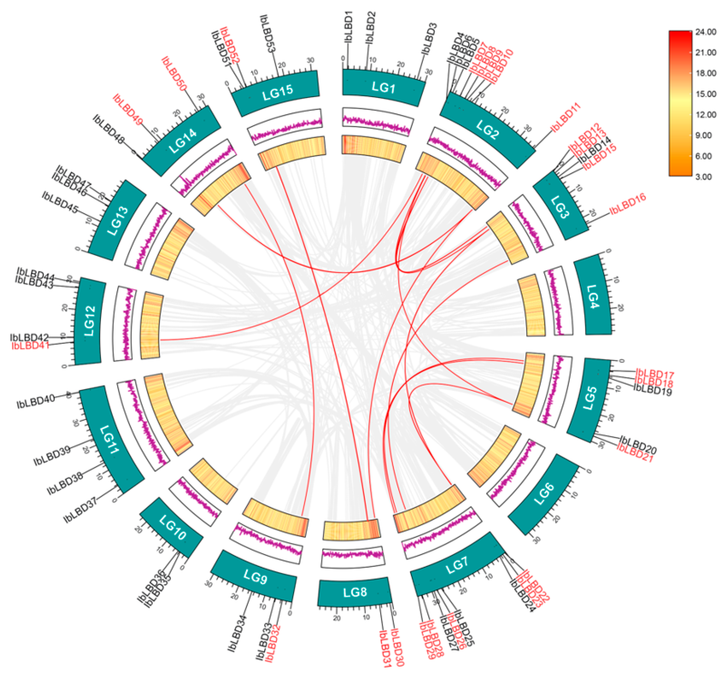 Genes 15 00237 g005 Genes 15 00237 g005