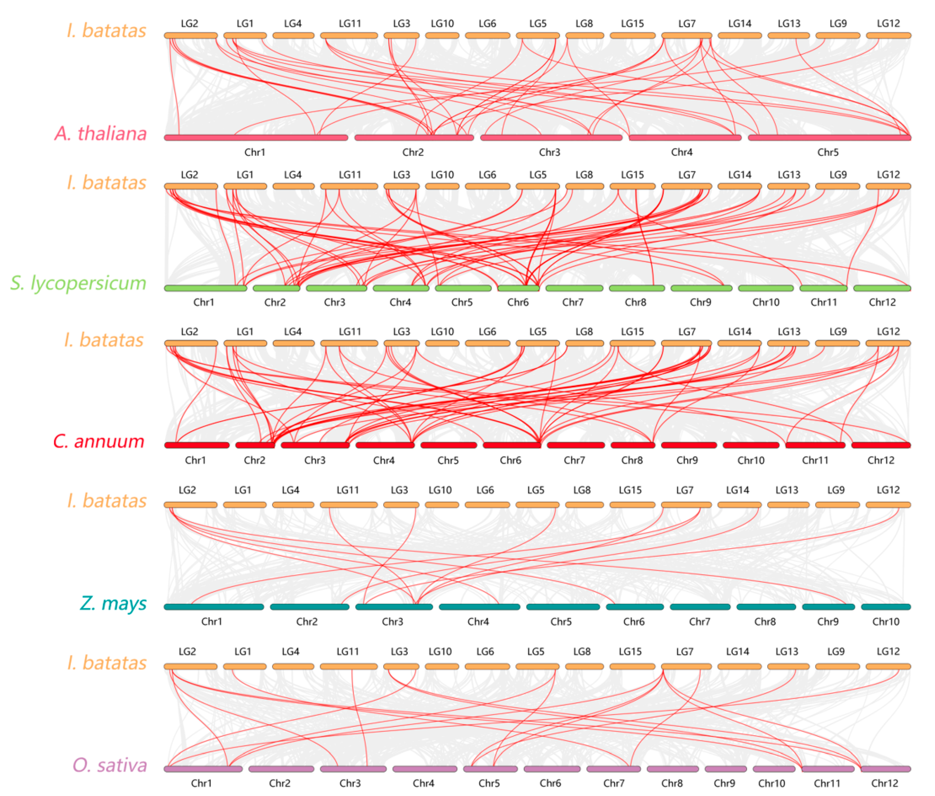 Genes 15 00237 g006 Genes 15 00237 g006