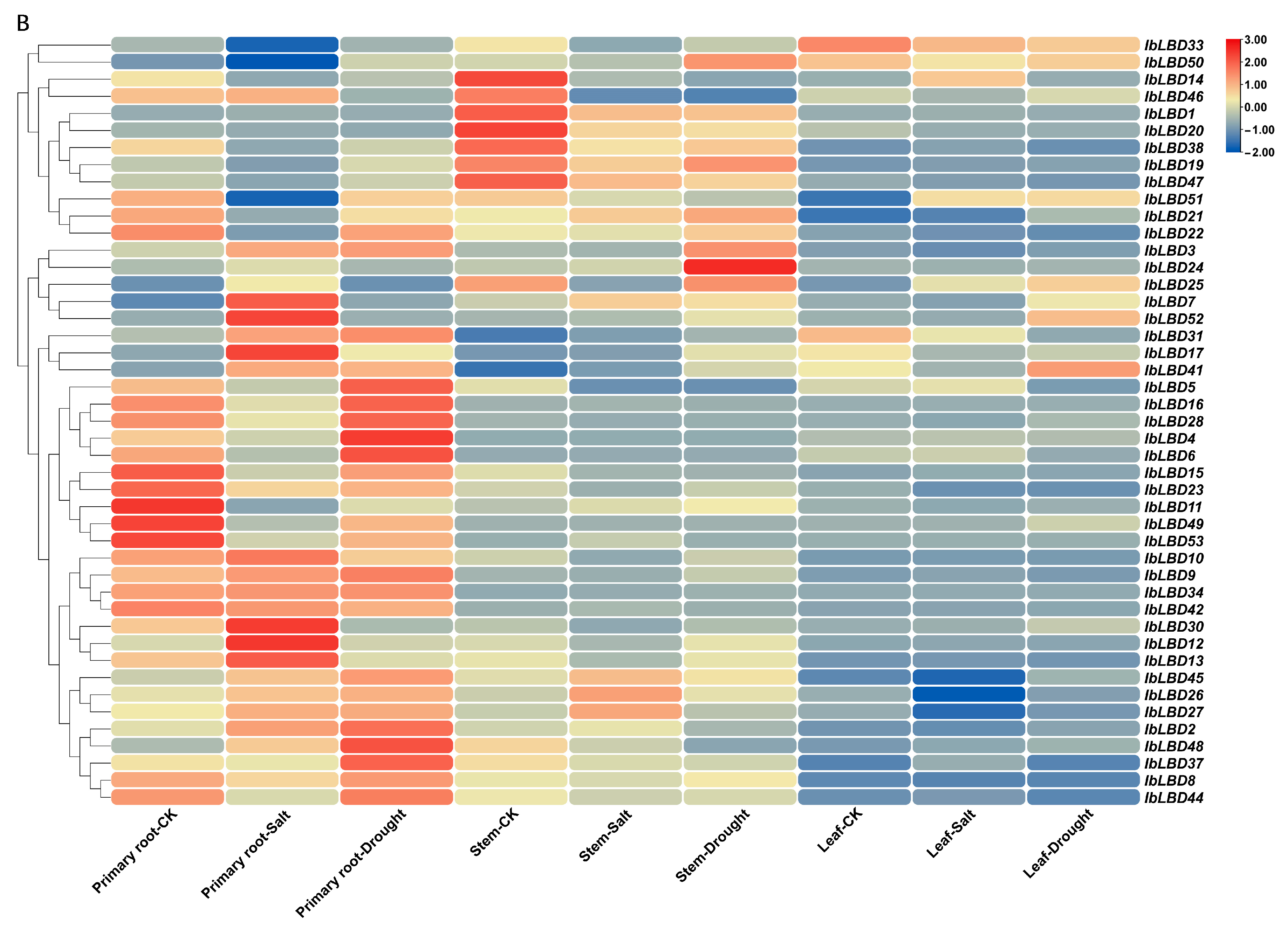 Genes 15 00237 g008b Genes 15 00237 g008b