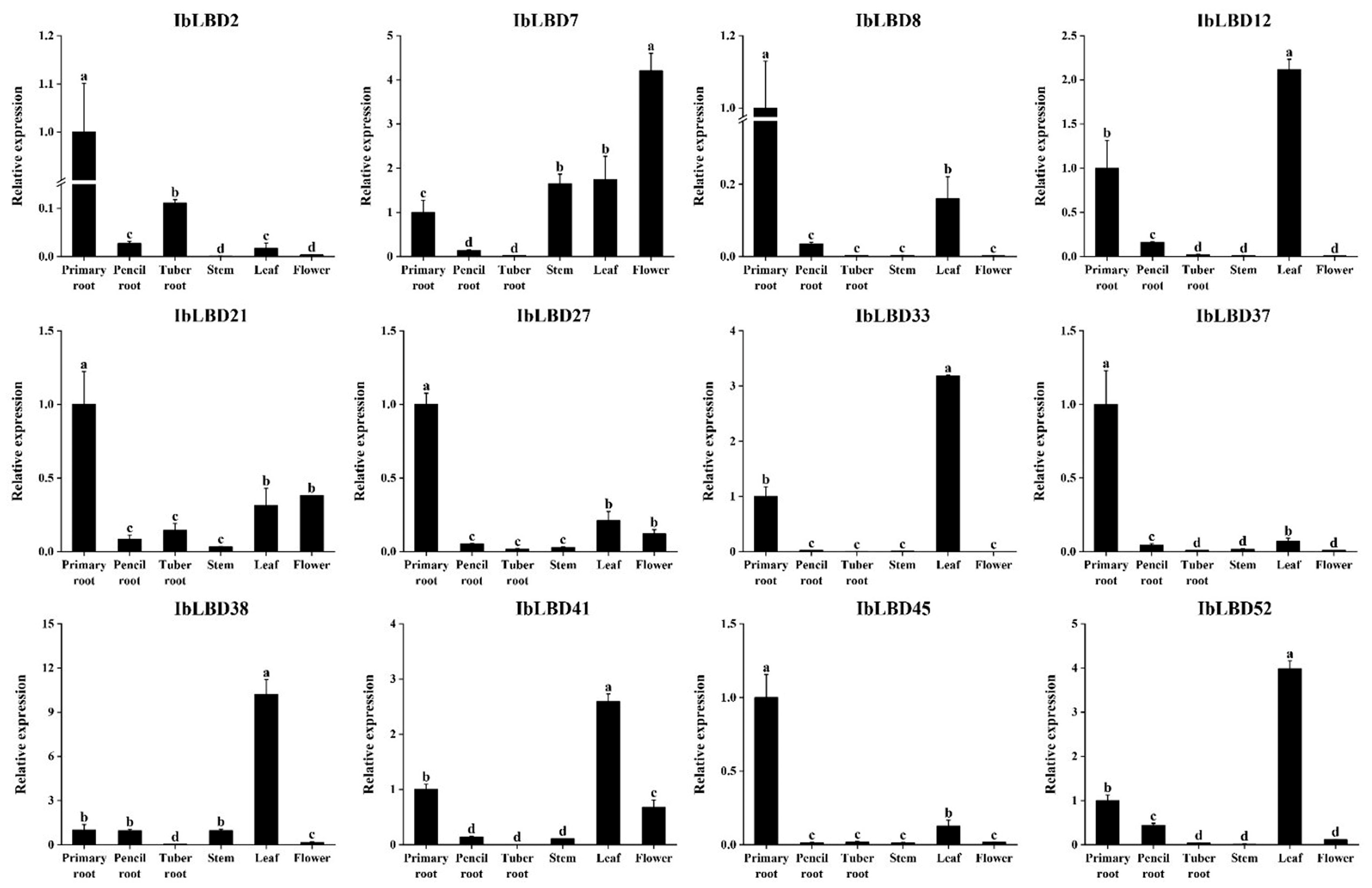Genes 15 00237 g009 Genes 15 00237 g009